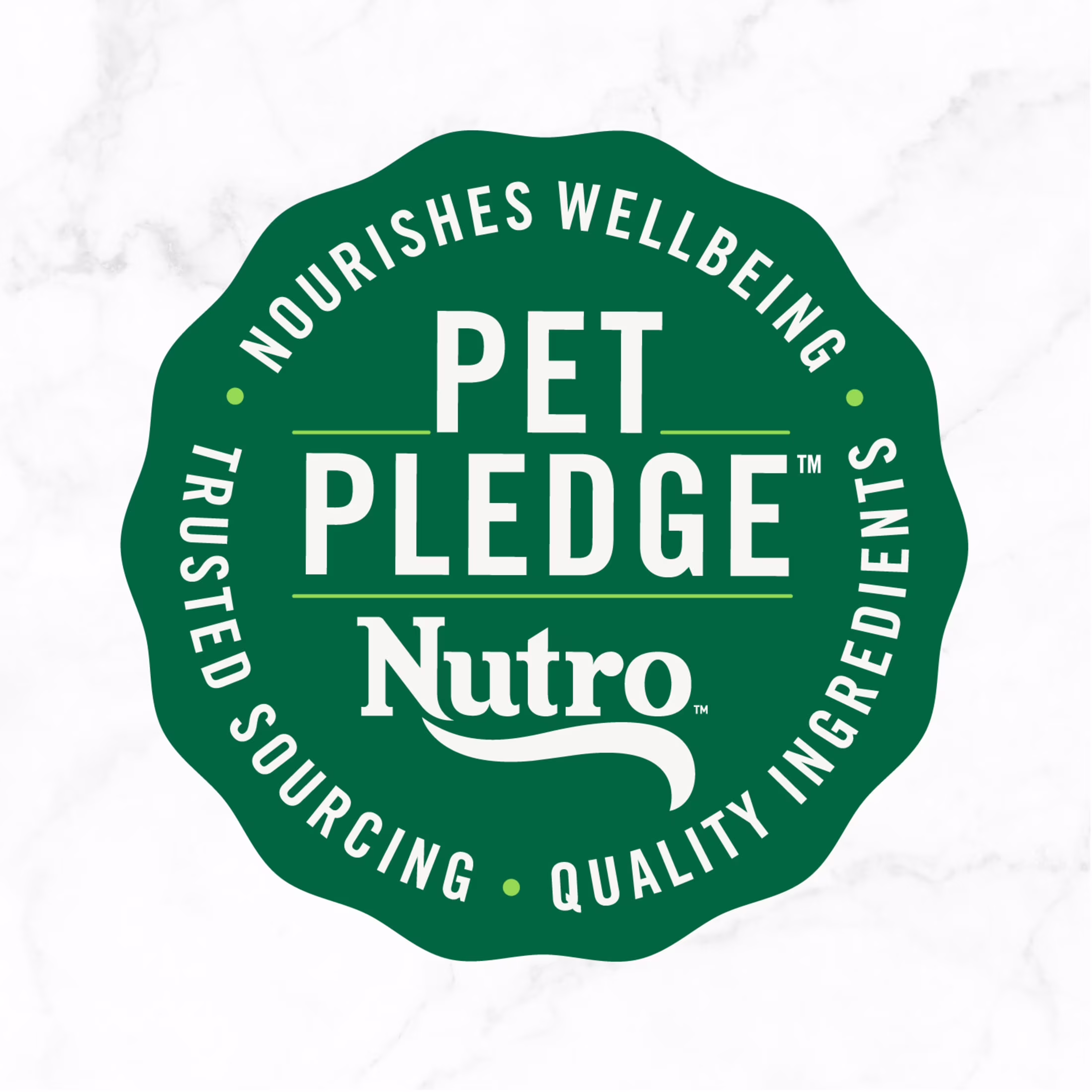 Nutro So Simple Chicken Recipe In Bone Broth Wet Dog Meal Complement, 2 Oz Tray