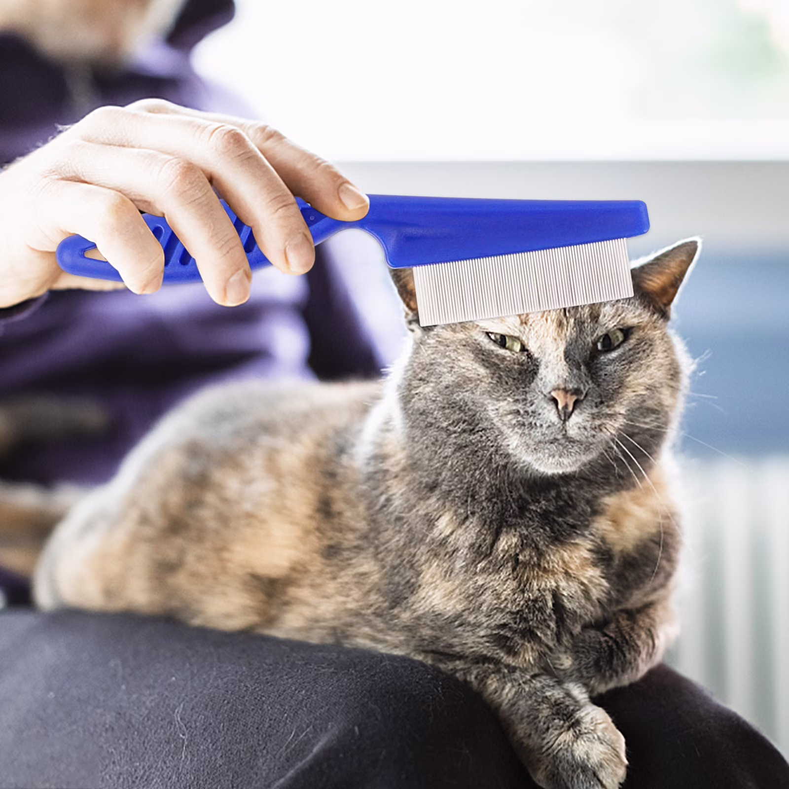 OAVQHLG3B Pet Flea Comb 6-piece Set Of Blue Comb Stainless Steel Needle Dense Tooth Cat And Dog Comb