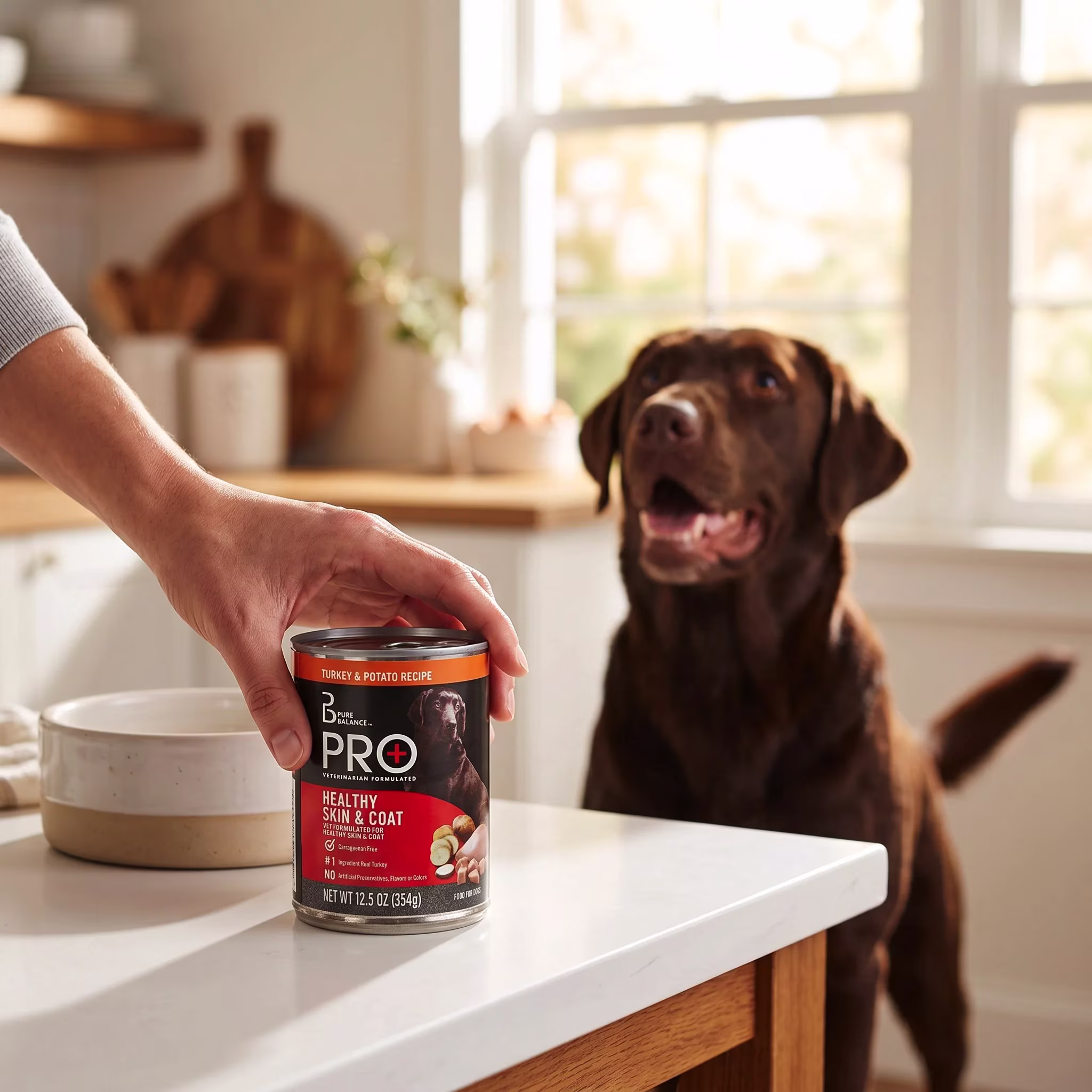 Pure Balance Pro+ Turkey & Potato Recipe Wet Dog Food, 12.5 oz Can