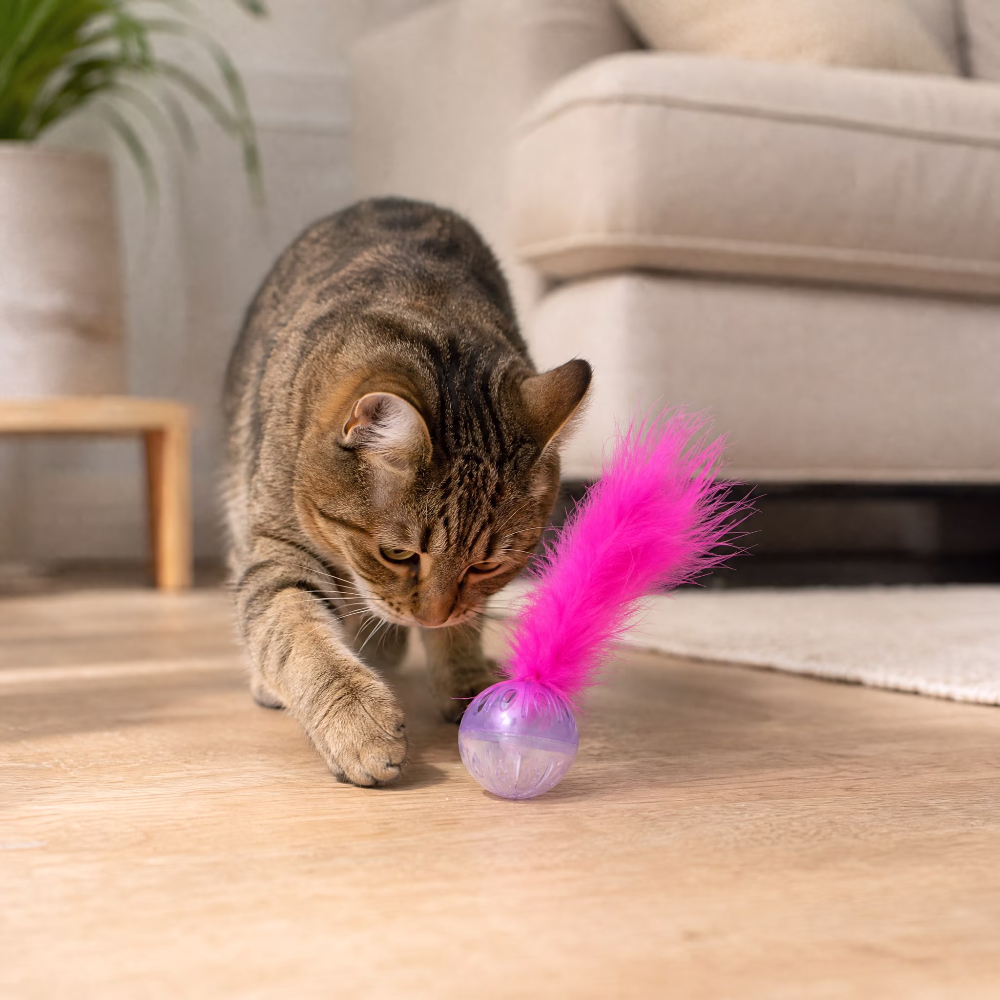 Vibrant Life Bell and Feather Lattice Ball Cat Toy