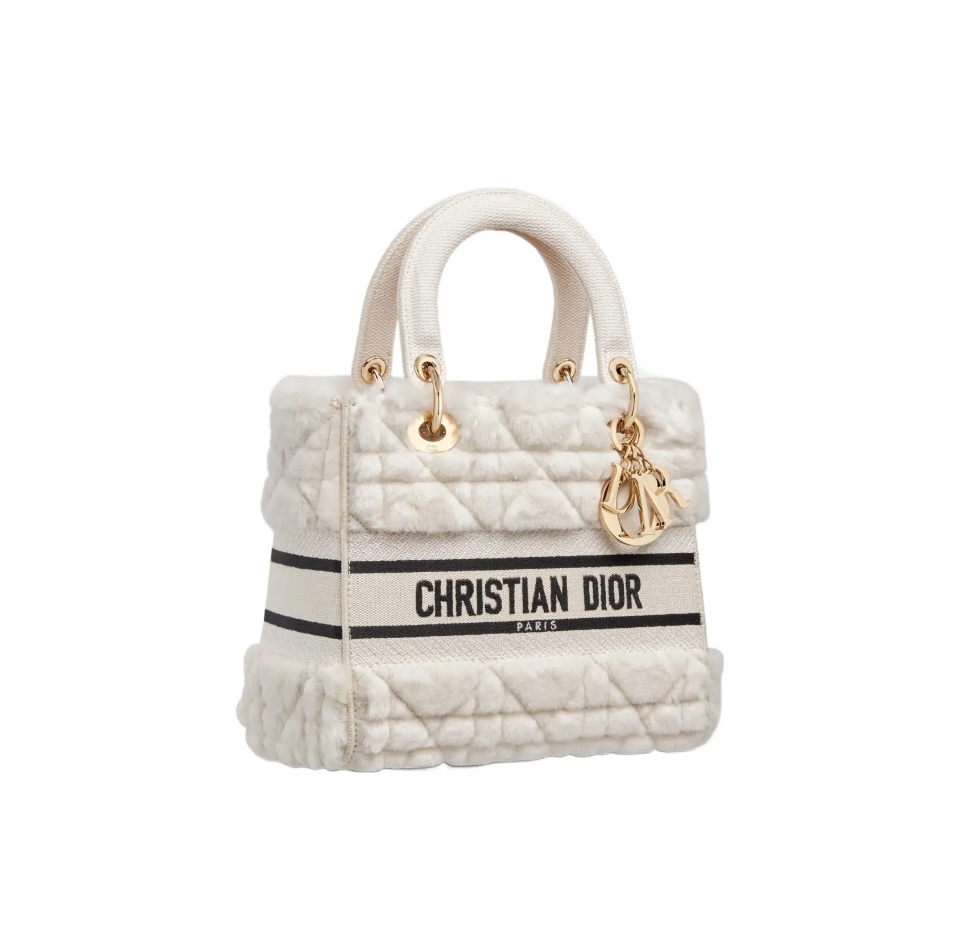 Dior Lady-Life Embroidered limited bag size : 24 cm