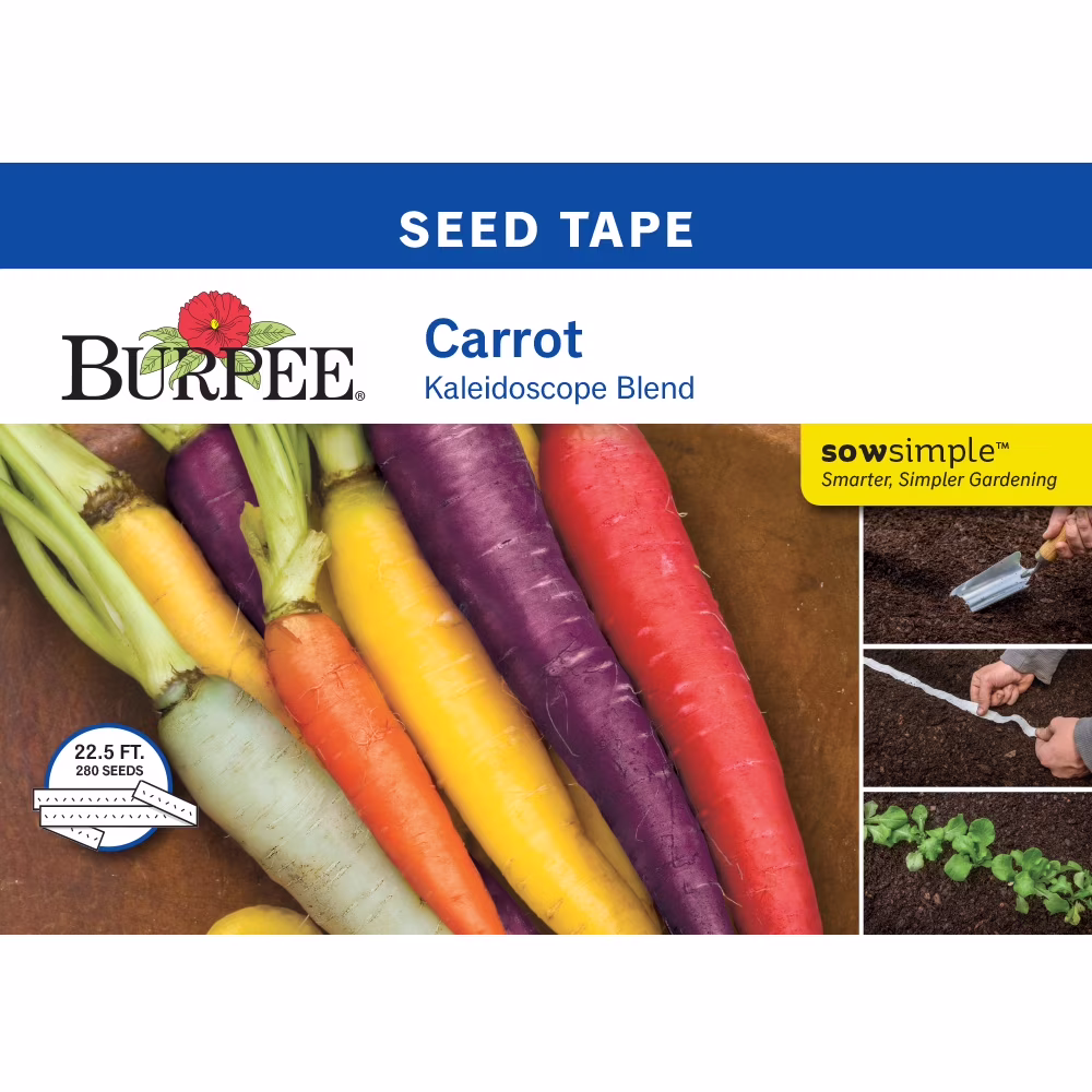 Burpee Kaleidoscope Blend Carrot Seed Tape, Annual Vegetable Carrot Seed, Full Sun