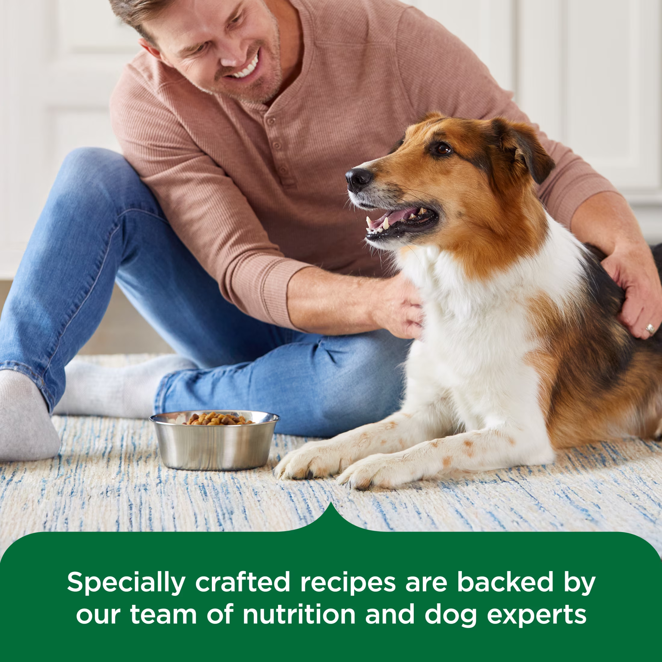 Rachael Ray Nutrish Chunks in Gravy Wet Dog Food, Real Chicken & Veggies Recipe, 13 oz. Can