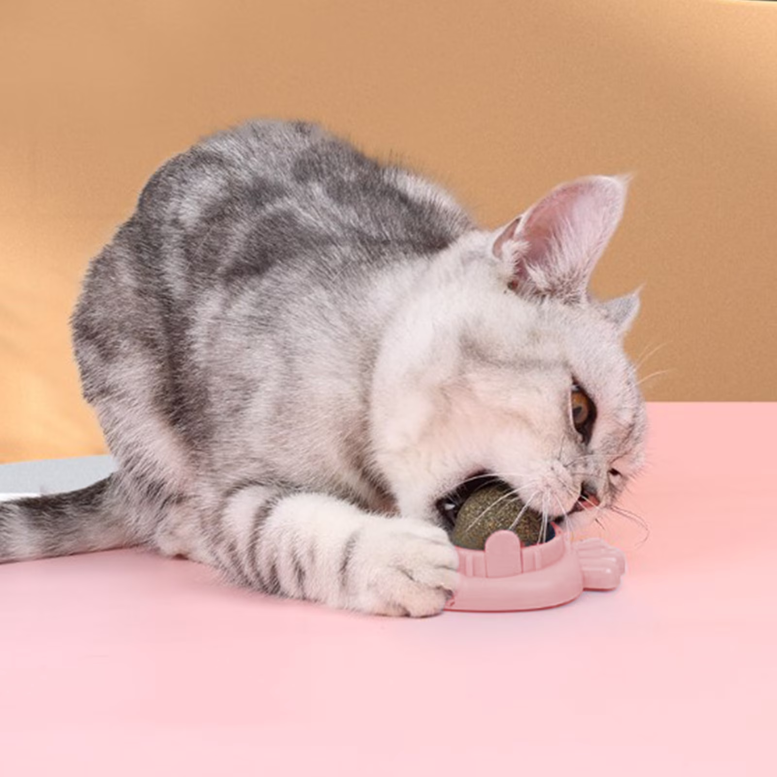 OAVQHLG3B Catnip Balls Toys, Catnip Ball for Cats Wall, Edible Kitty Toys for Cats Lick, Kitten Chew Toys, Teeth Cleaning Dental Cat Toys, Cat Wall Treats