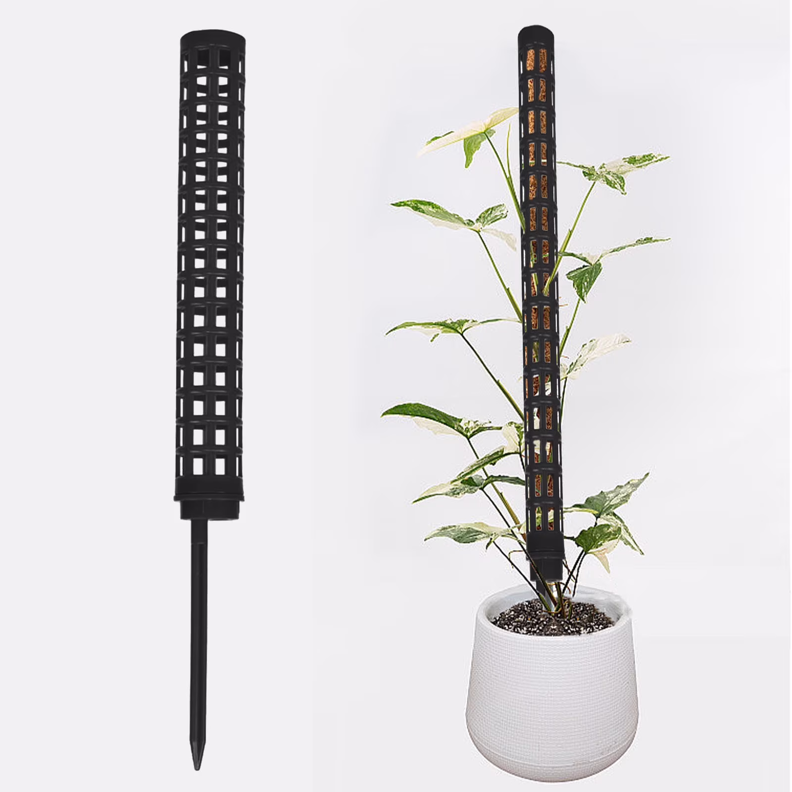 Green Ivy Moss Pole for Climbing Plants 16