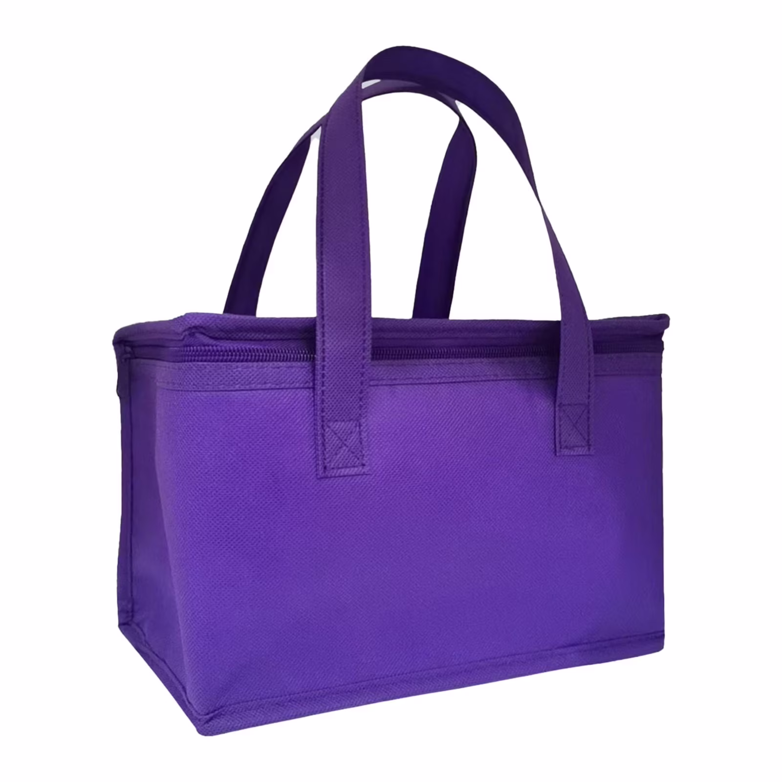 Insulated Cooler Bag & Food Warmer Tote, Zippered Thermal Bag for Grocery, Food, Outdoor, Picnic, Party & Daily Meal Use