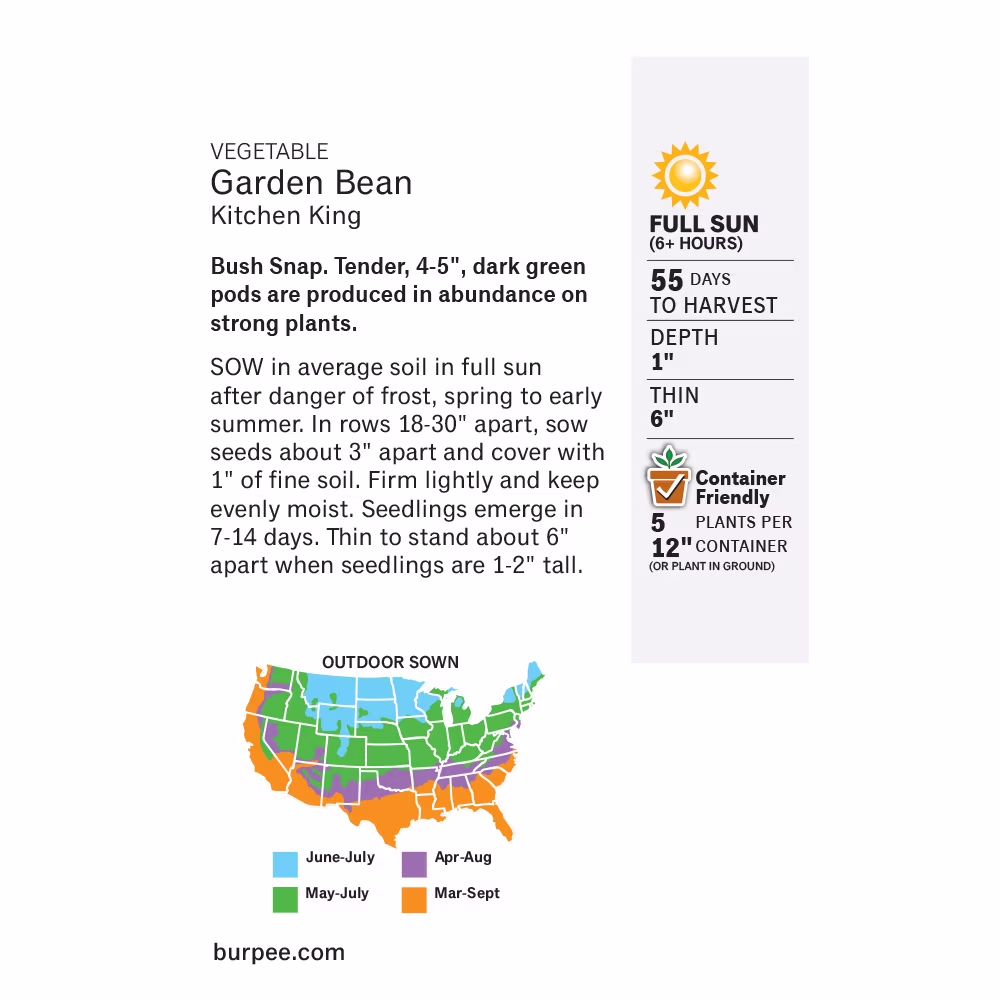 Burpee Kitchen King Garden Bean Seeds - Bush Bean, Vegetable Gardening Seeds, 1-Pack