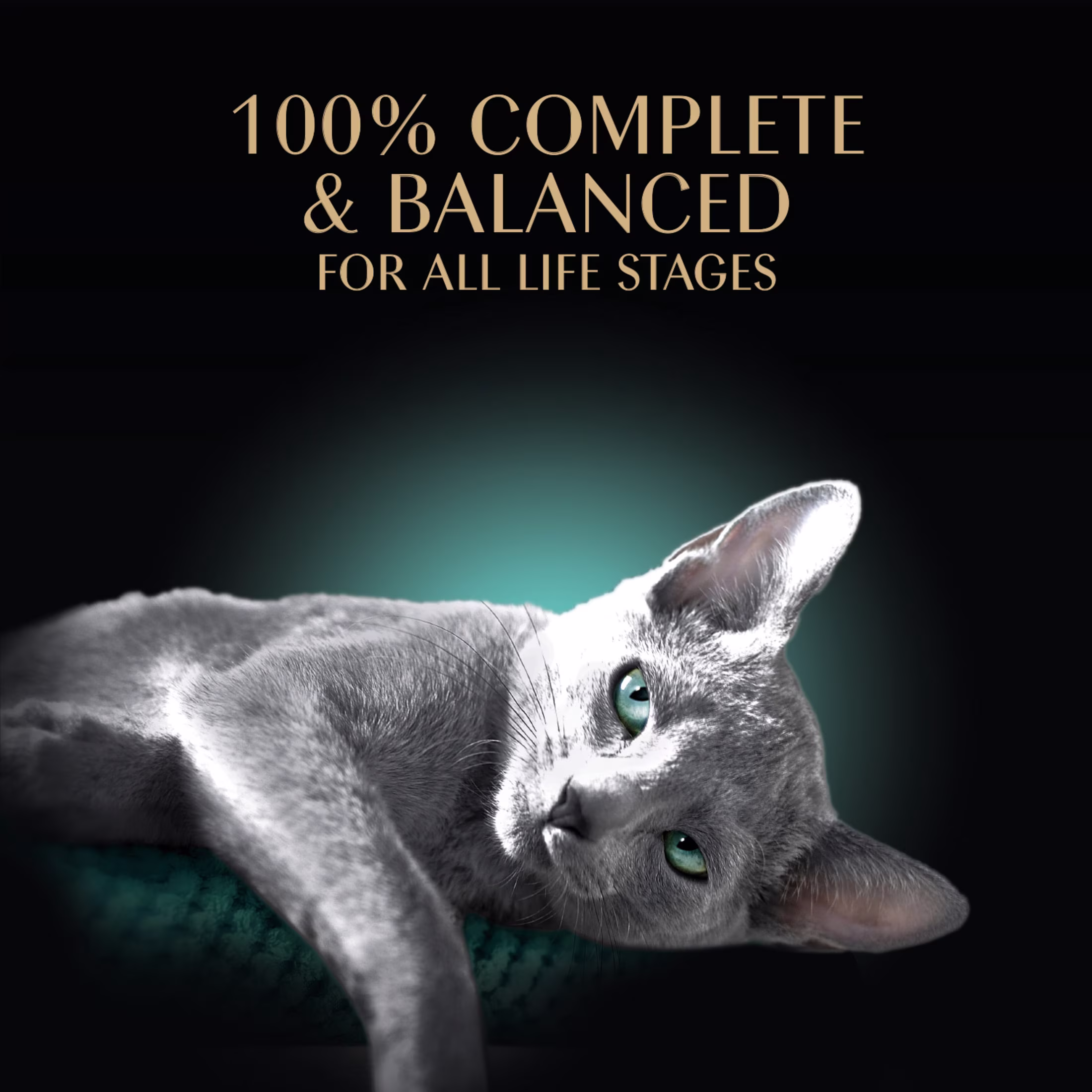 Sheba Gravy Indulgence Salmon Entree In Extra Gravy Cat Food, 2.6 Oz Twin-Pack Tray