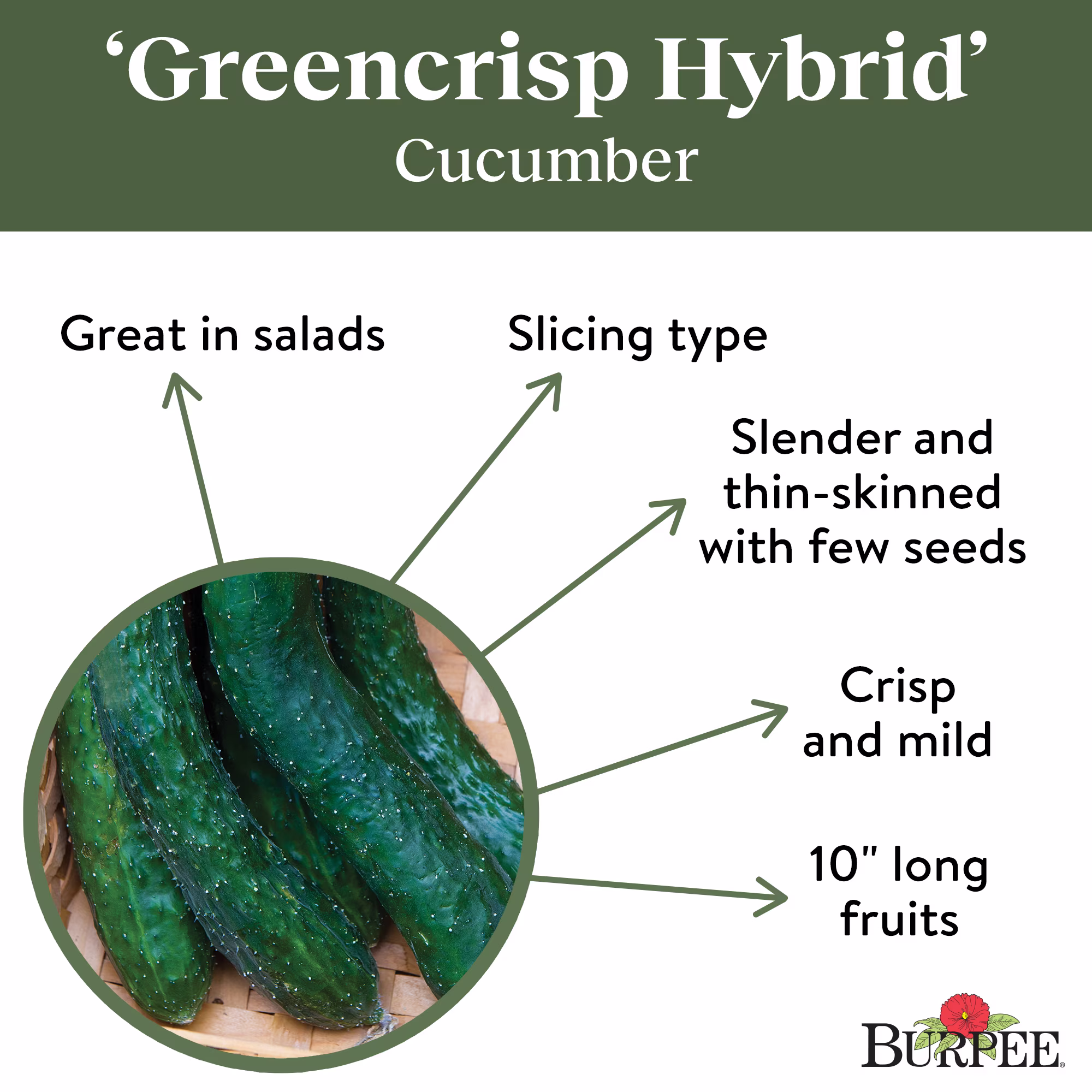 Burpee Greencrisp Hybrid Cucumber Vegetable Seed, 1-Pack