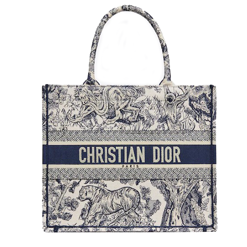SMALL DIOR BOOK TOTE Blue Toile de Jouy Embroidery