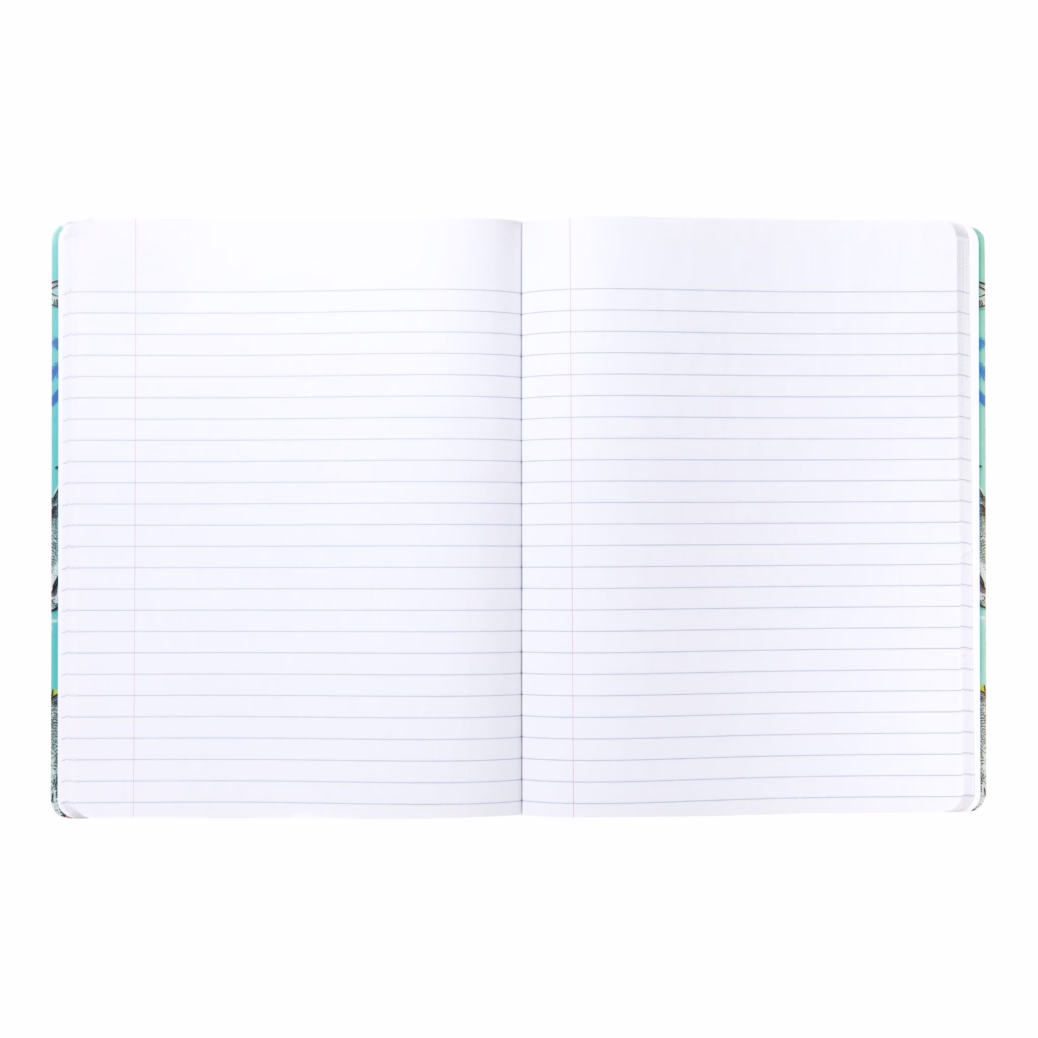 Mintgreen Journal, Composition Book, Wide Ruled, 80 Sheets, Recycled Paper, Dinosaurs