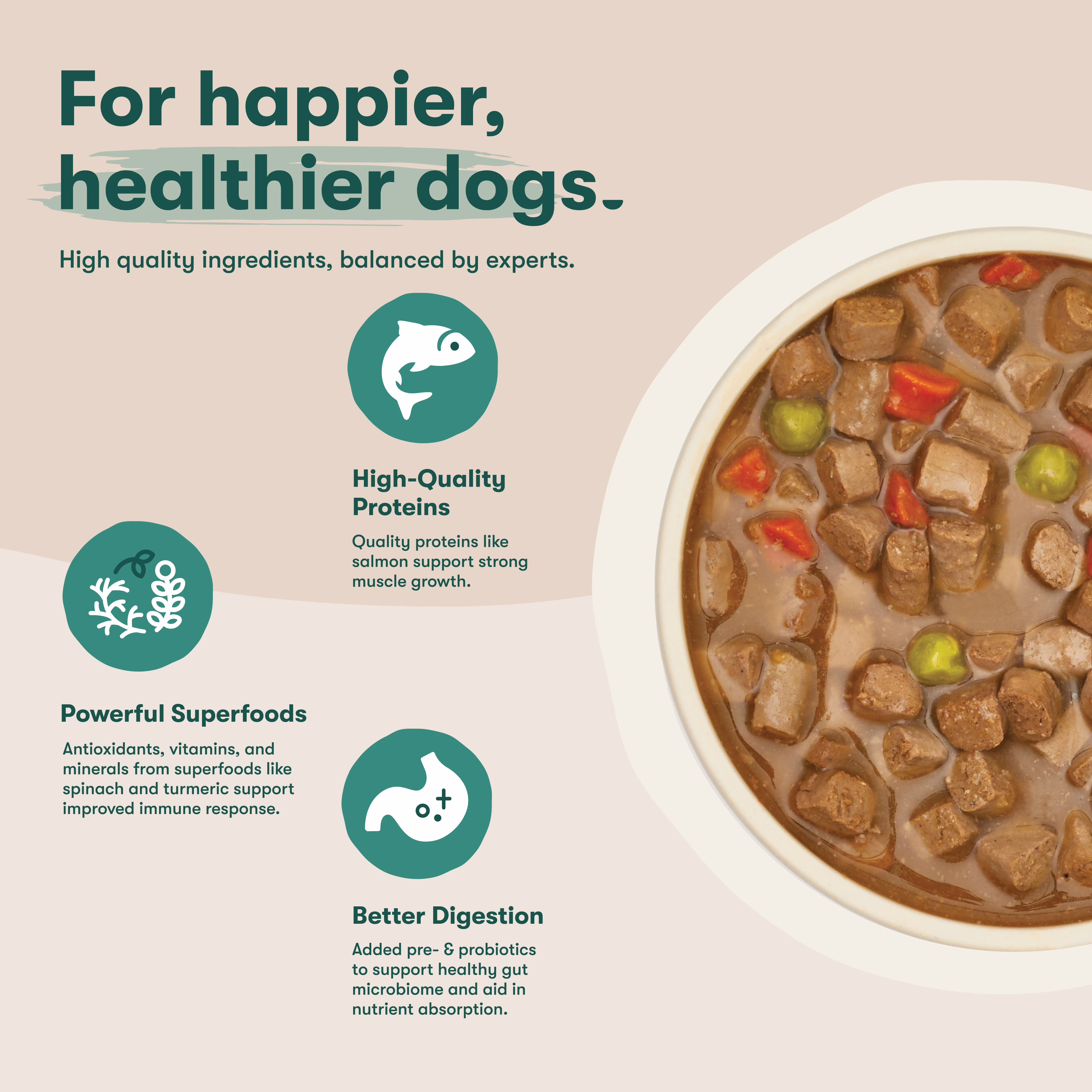 Jinx Bone Broth Stew Grain-Free Salmon & Vegetables Wet Dog Food, 13 oz Can
