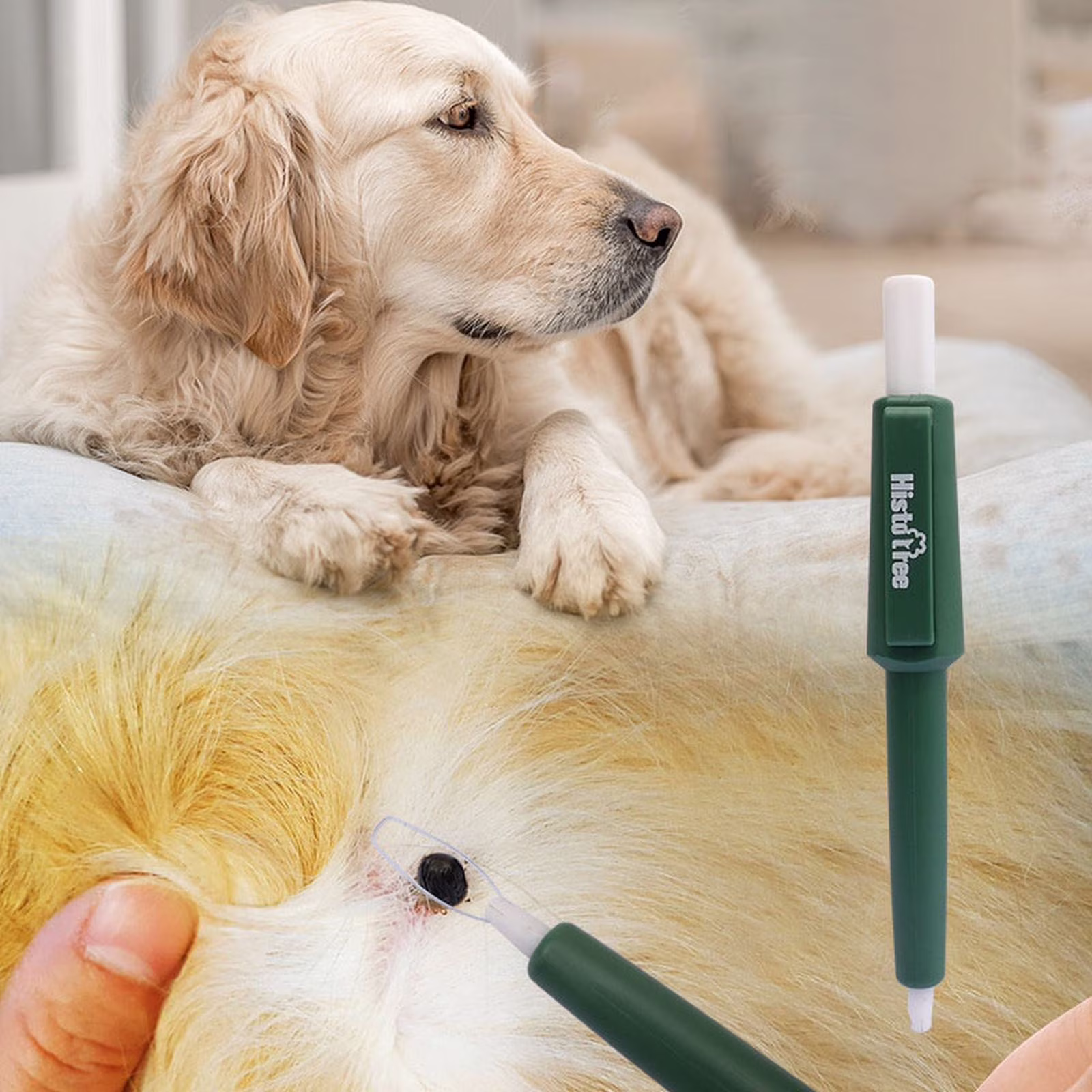 Safe Pet Tick Remover Tool â Quick Flea & Lice Extractor for Dogs & Cats, Whole Head Removal, Non-Toxic Grooming Pen (, 11x14cm)
