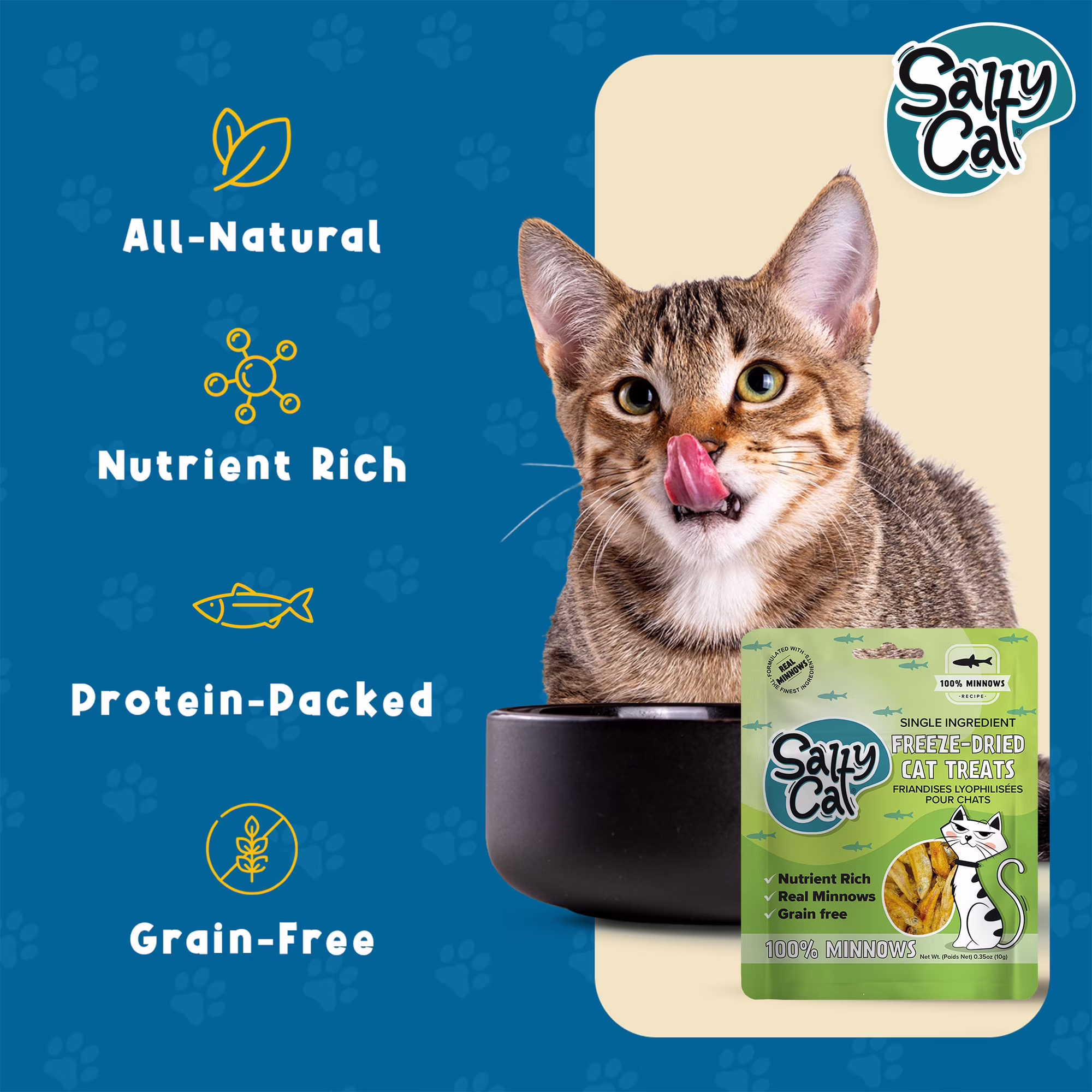 Salty Cat 100% Minnows Freeze-Dried Cat Treats, 10g Pouch