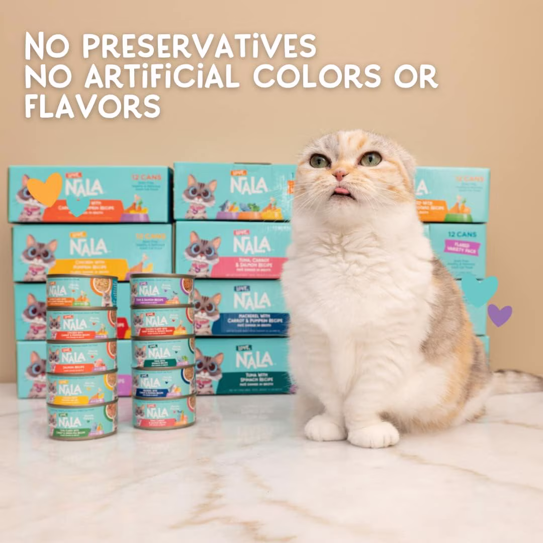 (6 pack) Love, Nala Flaked Chicken with Pumpkin Recipe in Broth Adult Wet Cat Food