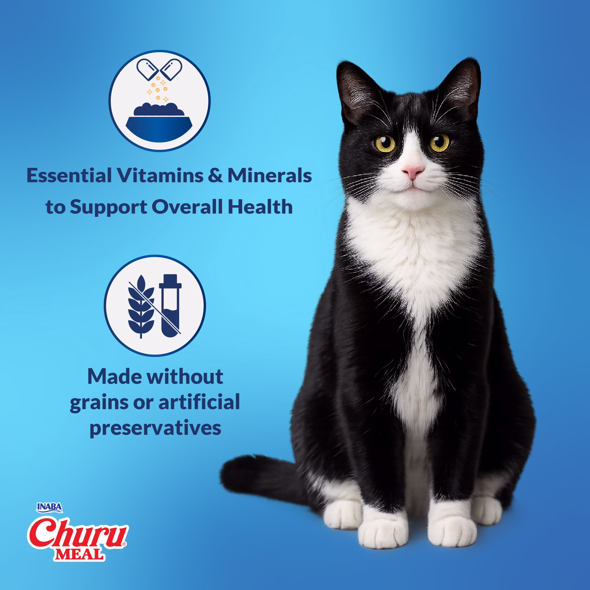 INABA Churu Meal Chowder Adult Wet Cat Food, 2.29 oz cup, Chicken Recipe
