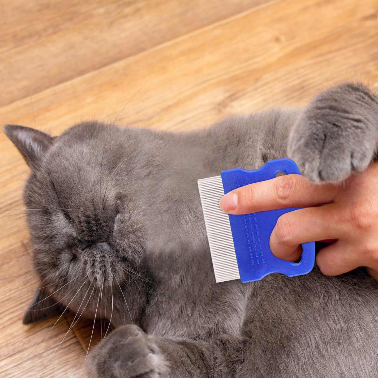 OAVQHLG3B Pet Flea Comb 6-piece Set Of Blue Comb Stainless Steel Needle Dense Tooth Cat And Dog Comb