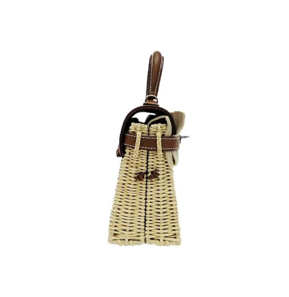 Hermes Mini kelly picnic sliver hardware Bag