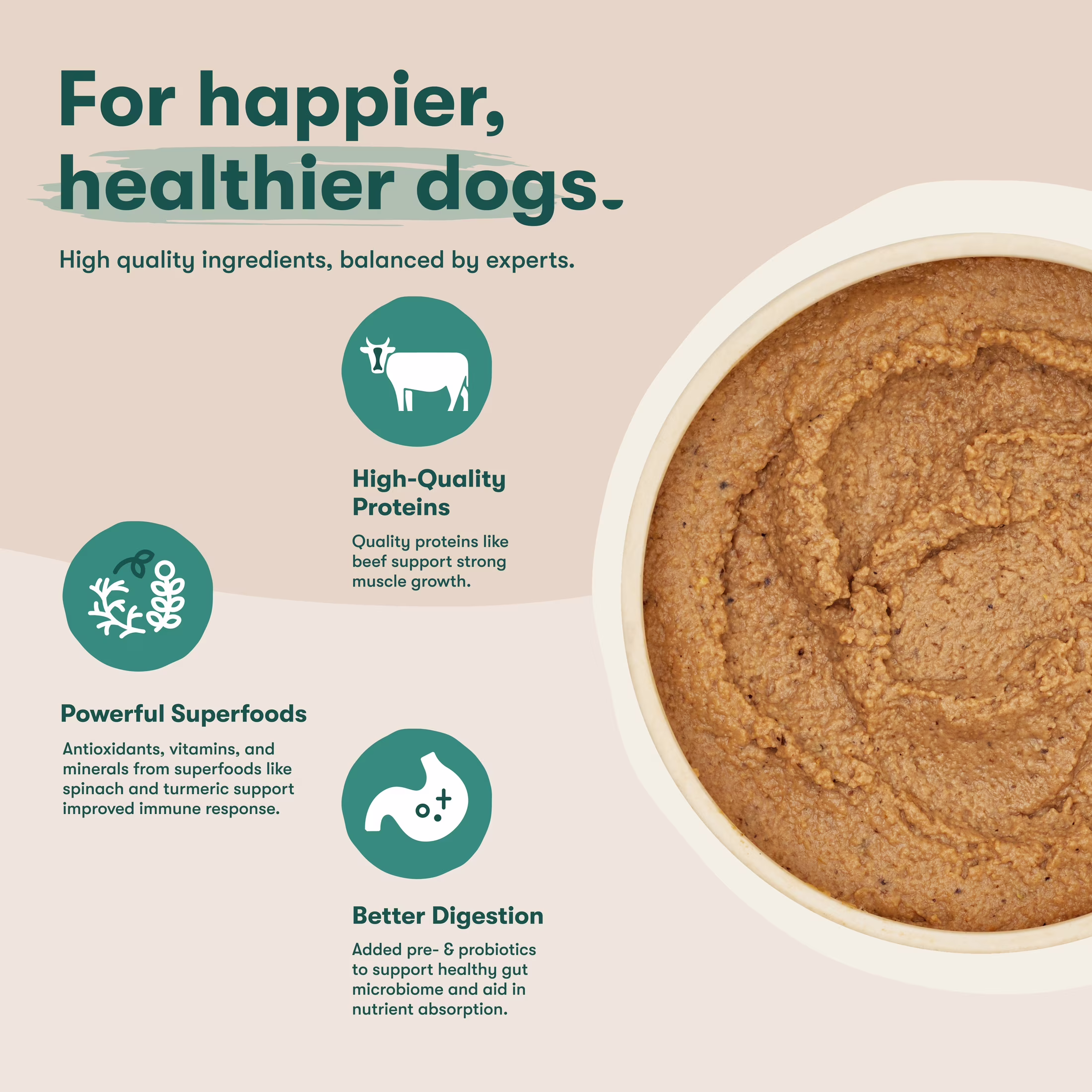 Jinx Pate with Chicken & Vegetables Natural Wet Dog Food, Grain Free, 13 oz Can