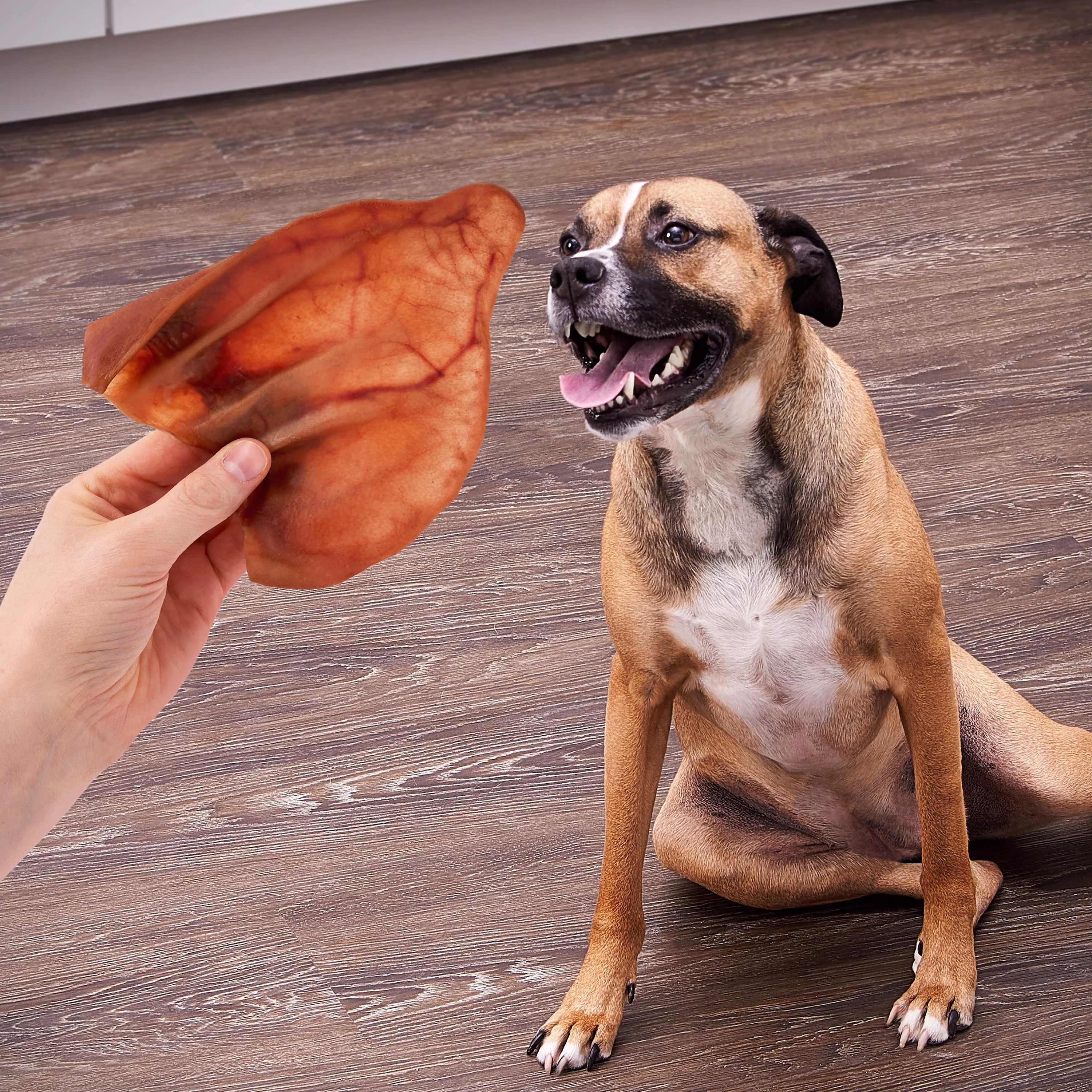 Ol' Roy Natural Jumbo Pig Ear Chew for Dogs, 1 Count