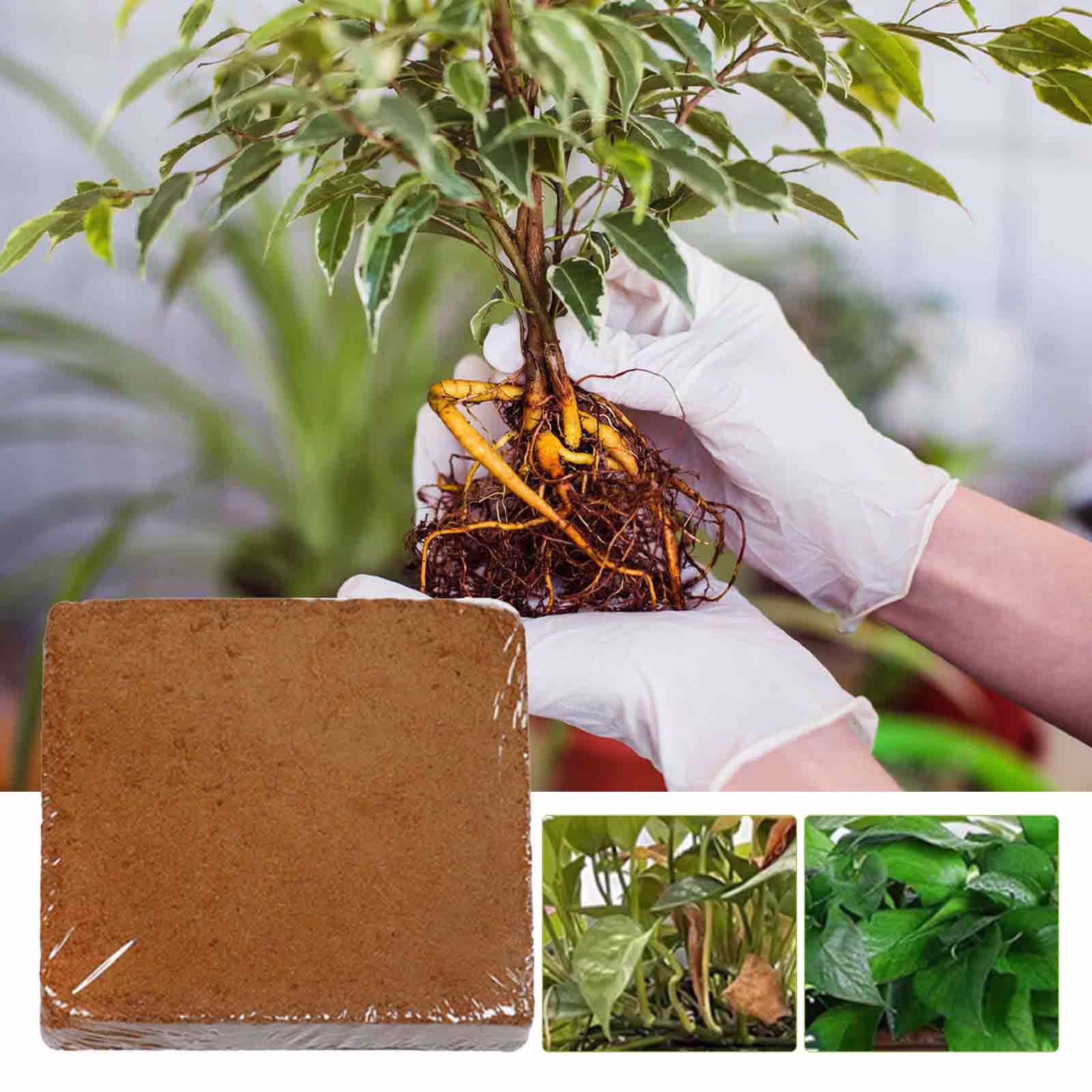 HongHeng Clearance Under $2.00 Plant Coir Fiber Bricks Plant Cultivation Growing Nutrient Dirt Potting Grass Flower Fertilizer