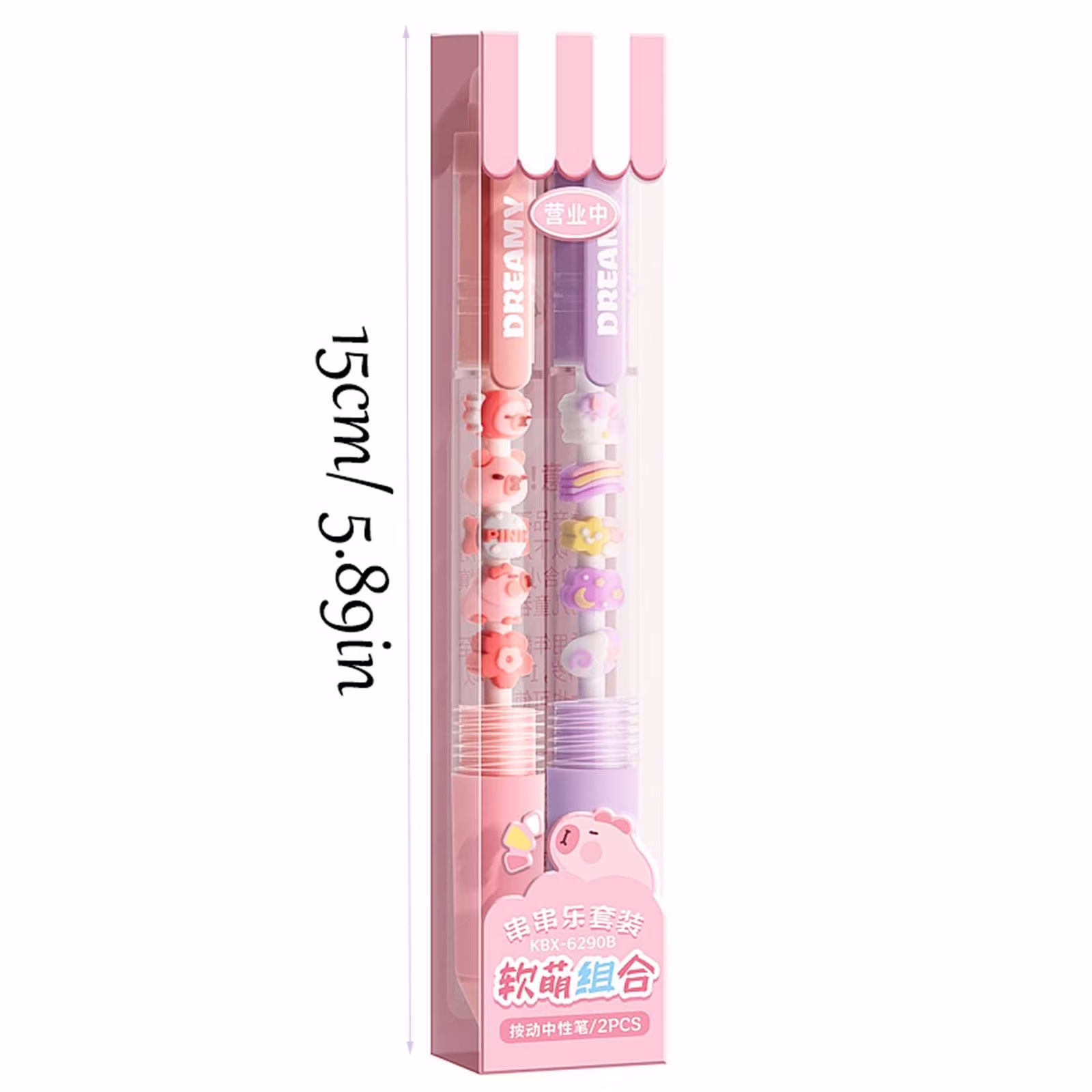 Erasable Pen Set – 2 Pens per Pack (10ml)