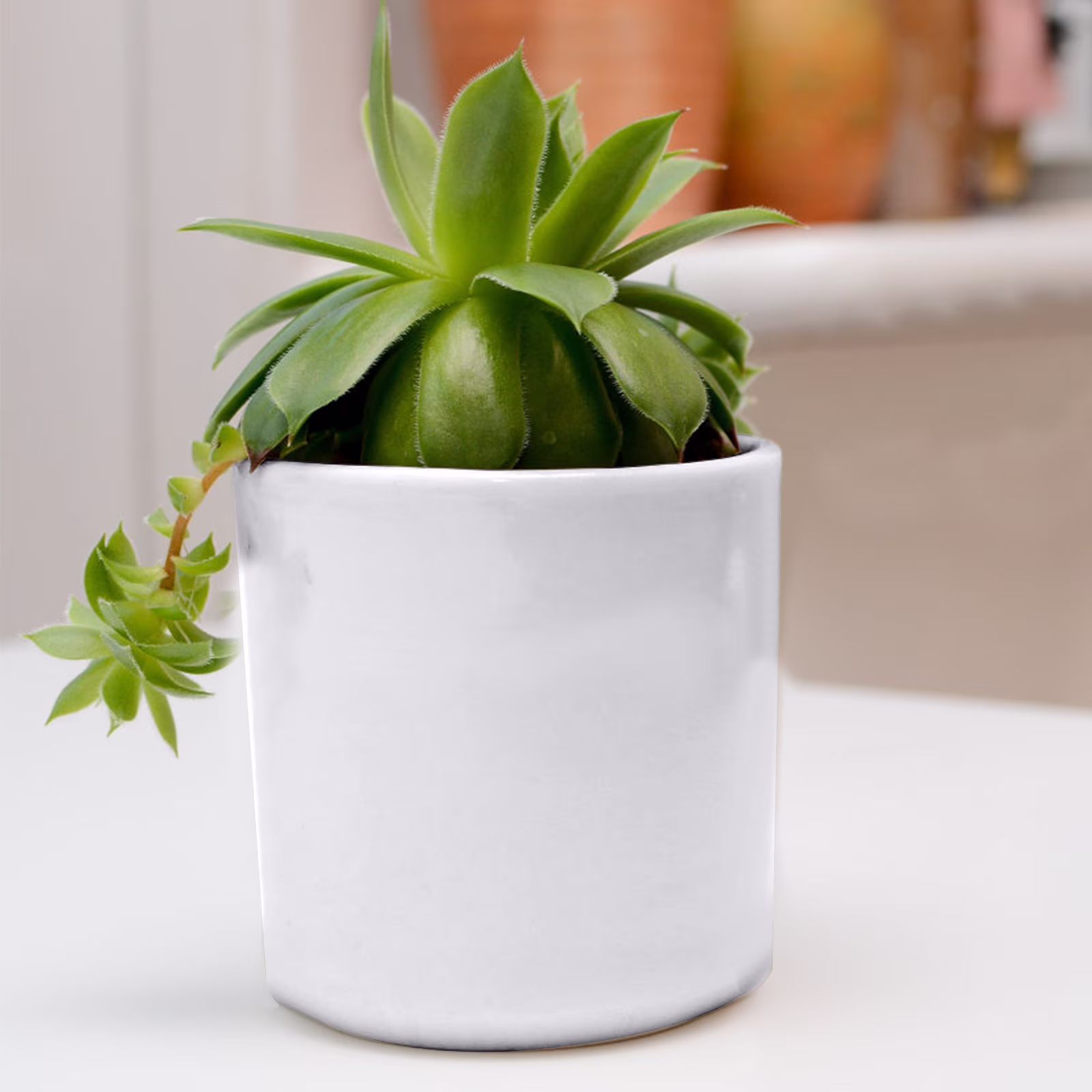 Clearance! Flower Pots under$1 Ceramic Plant Pots with Hole Cylindrical Plant Pot Flower Planter Pots Decorative Small Garden Pots for Indoor Outdoor Plants Flowers Cactus Garden Home Decor