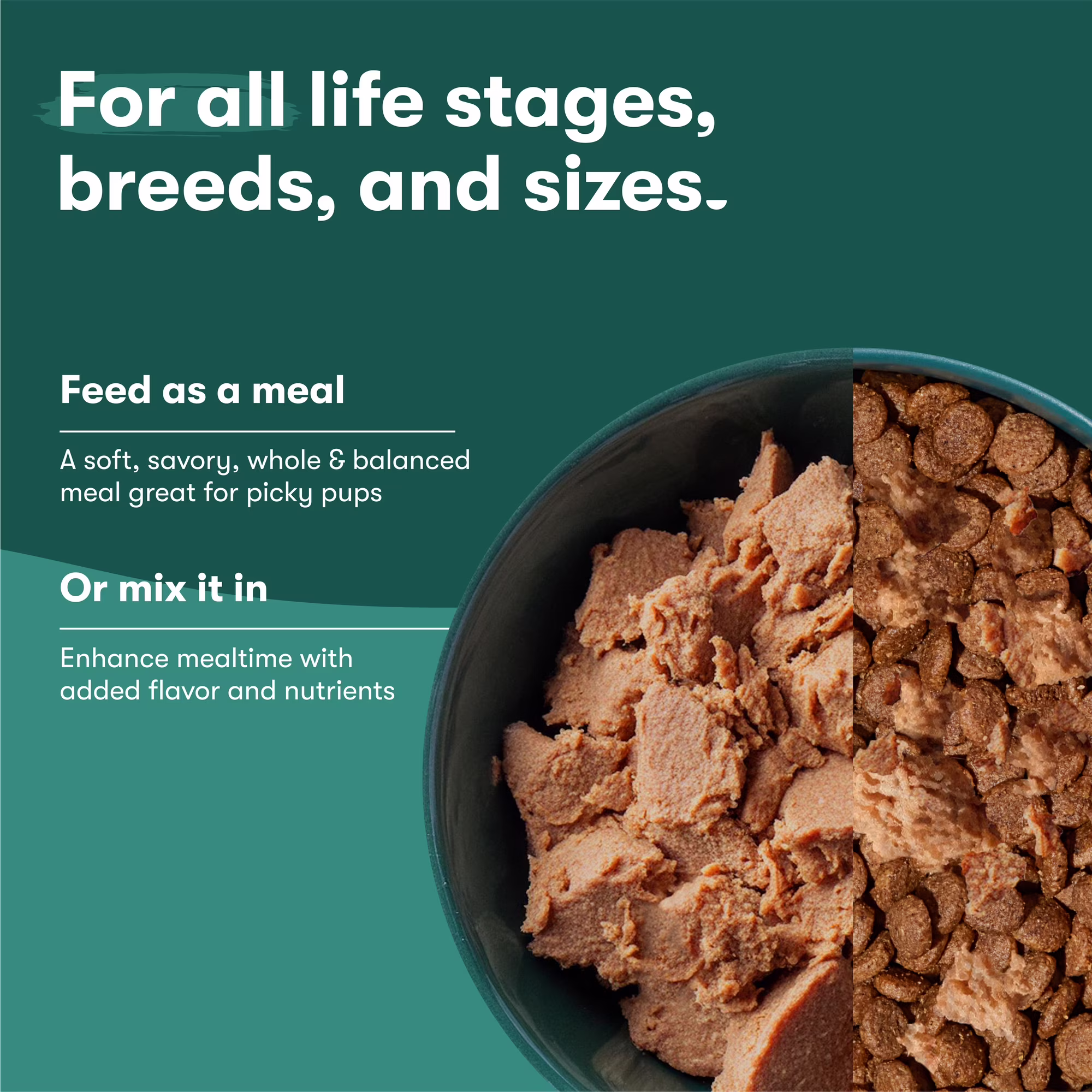 (4 pack) Jinx Chopped Beef Recipe Natural Wet Dog Food, Grain-Free, 13 oz Can