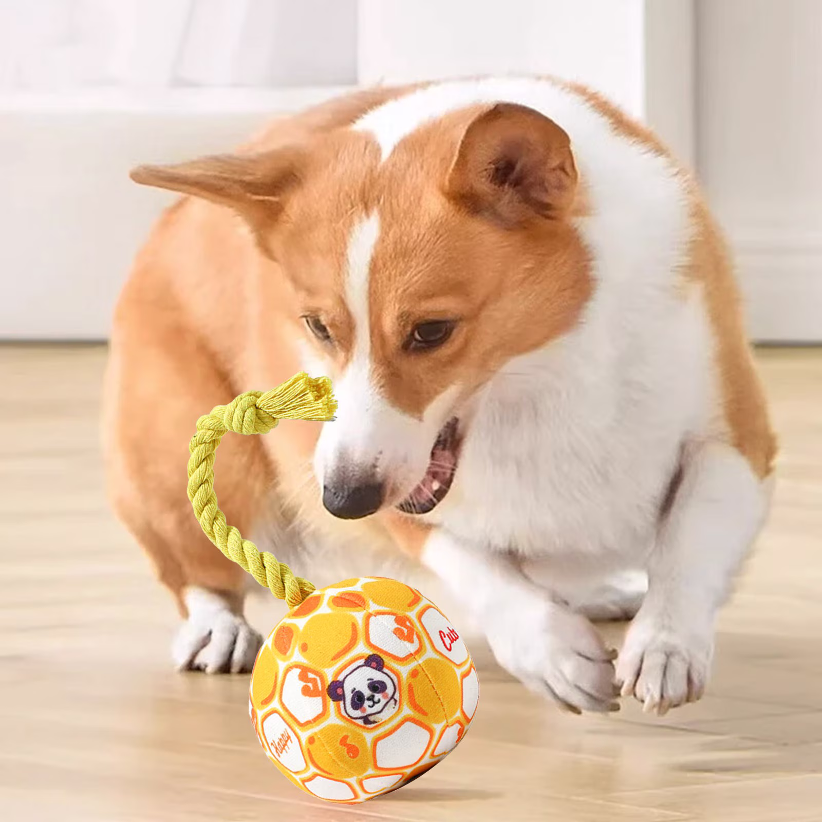 Partheme Novelty Toys Squeaky Dog Toy, 6