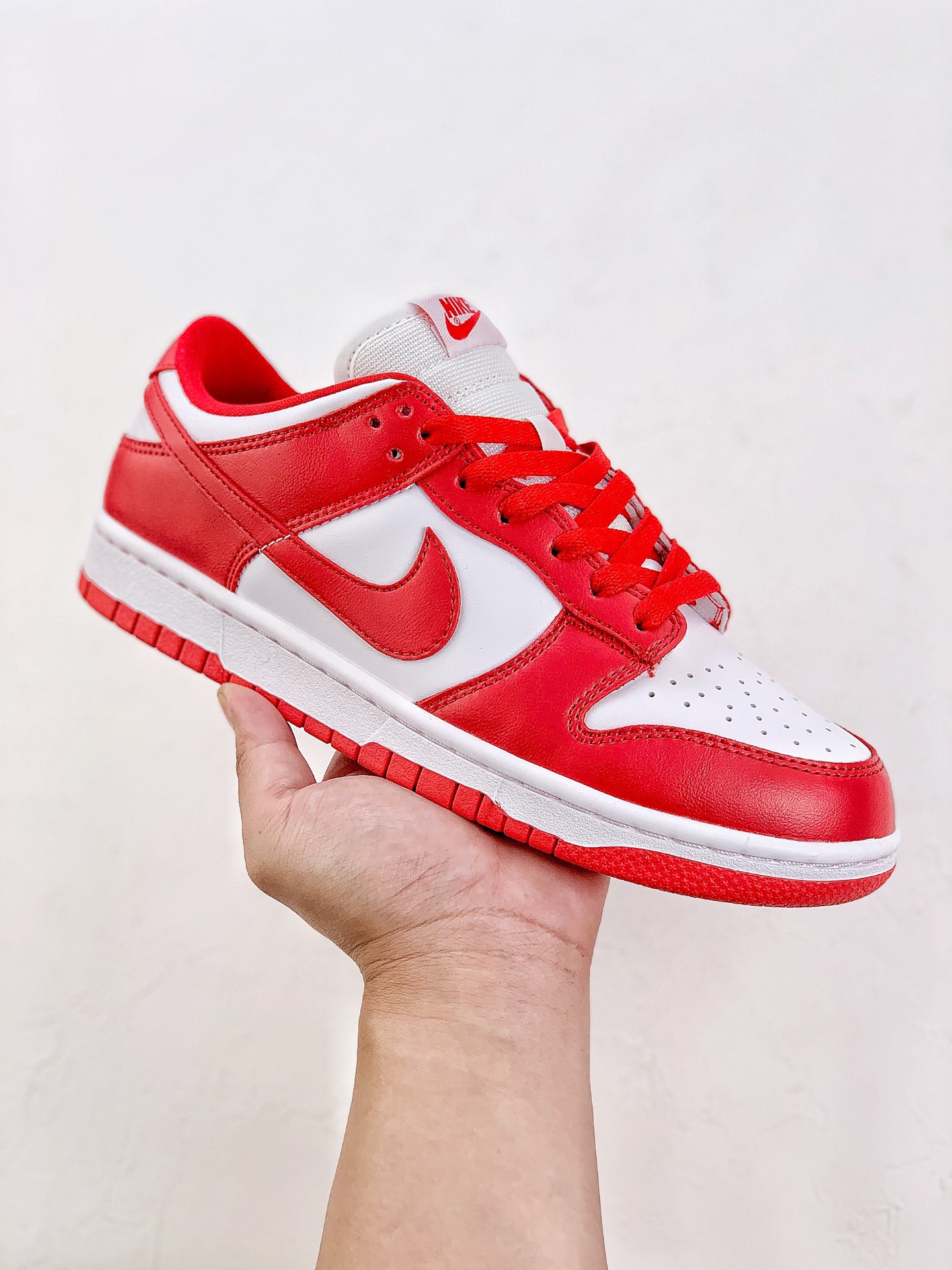 Nike Dunk Low SP 