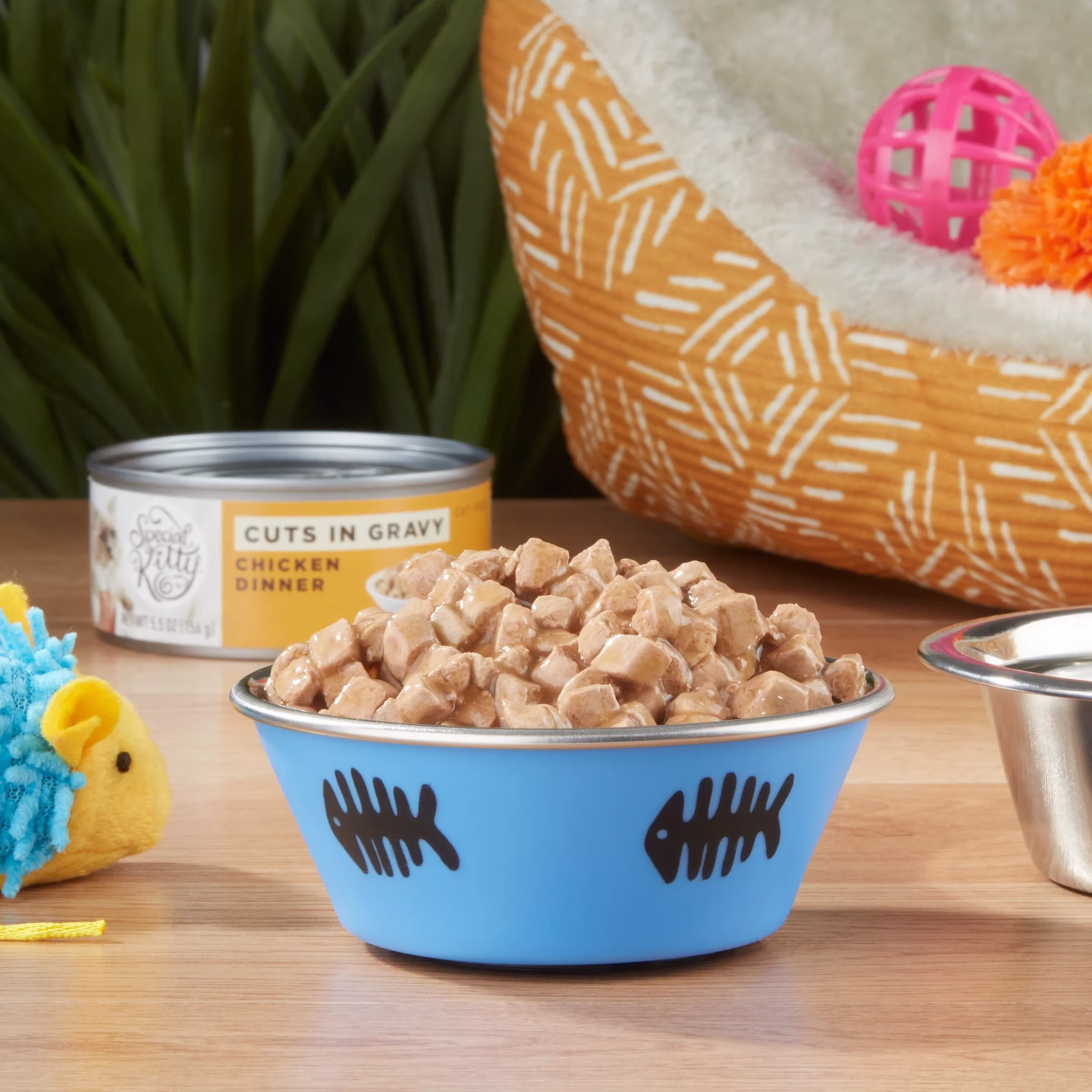 Special Kitty Kitten Wet Cat Food, Ocean Whitefish & Tuna Pate, 5.5 oz Can