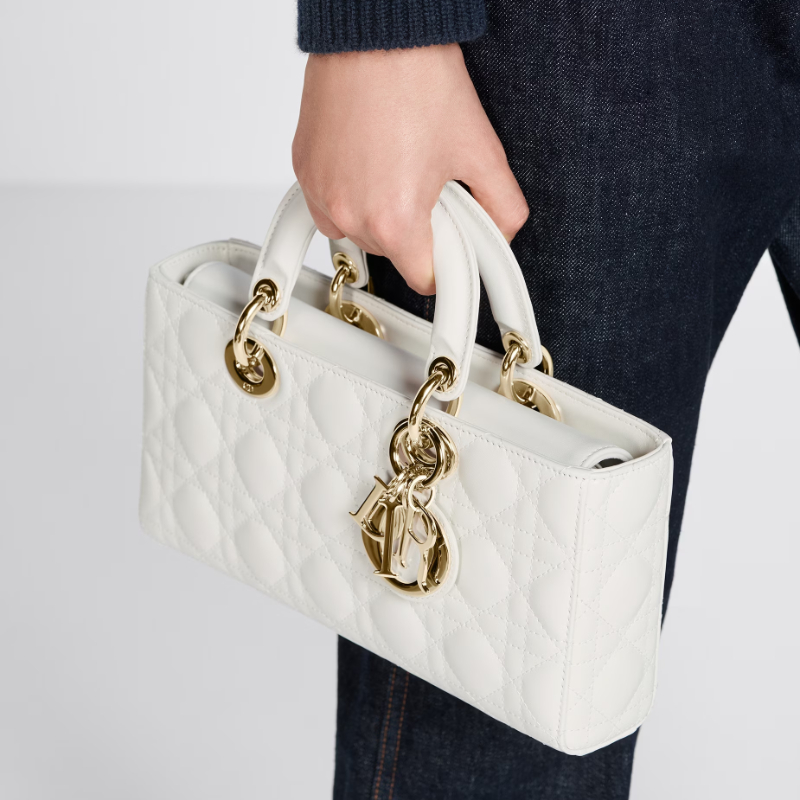 DIOR LADY D-JOY BAG