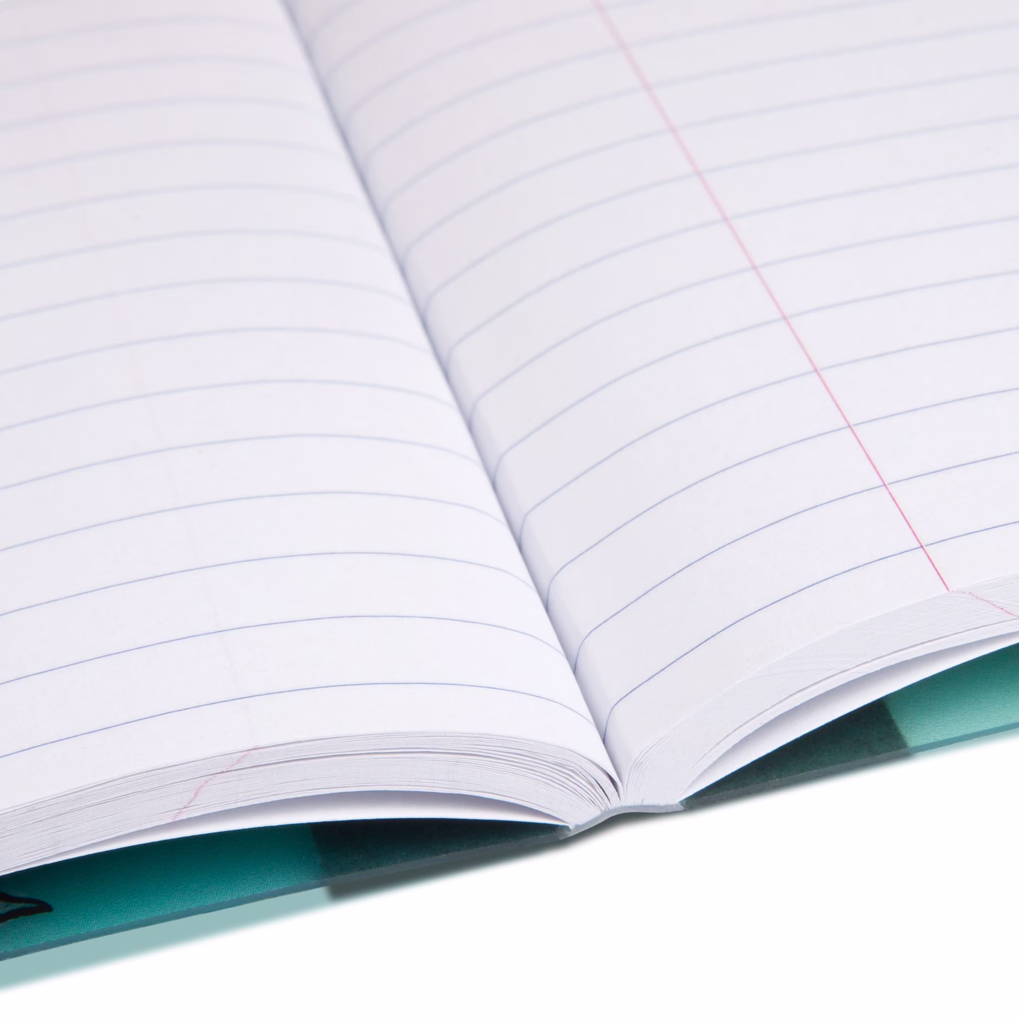 Mintgreen Journal, Composition Book, Wide Ruled, 80 Sheets, Recycled Paper, Dinosaurs