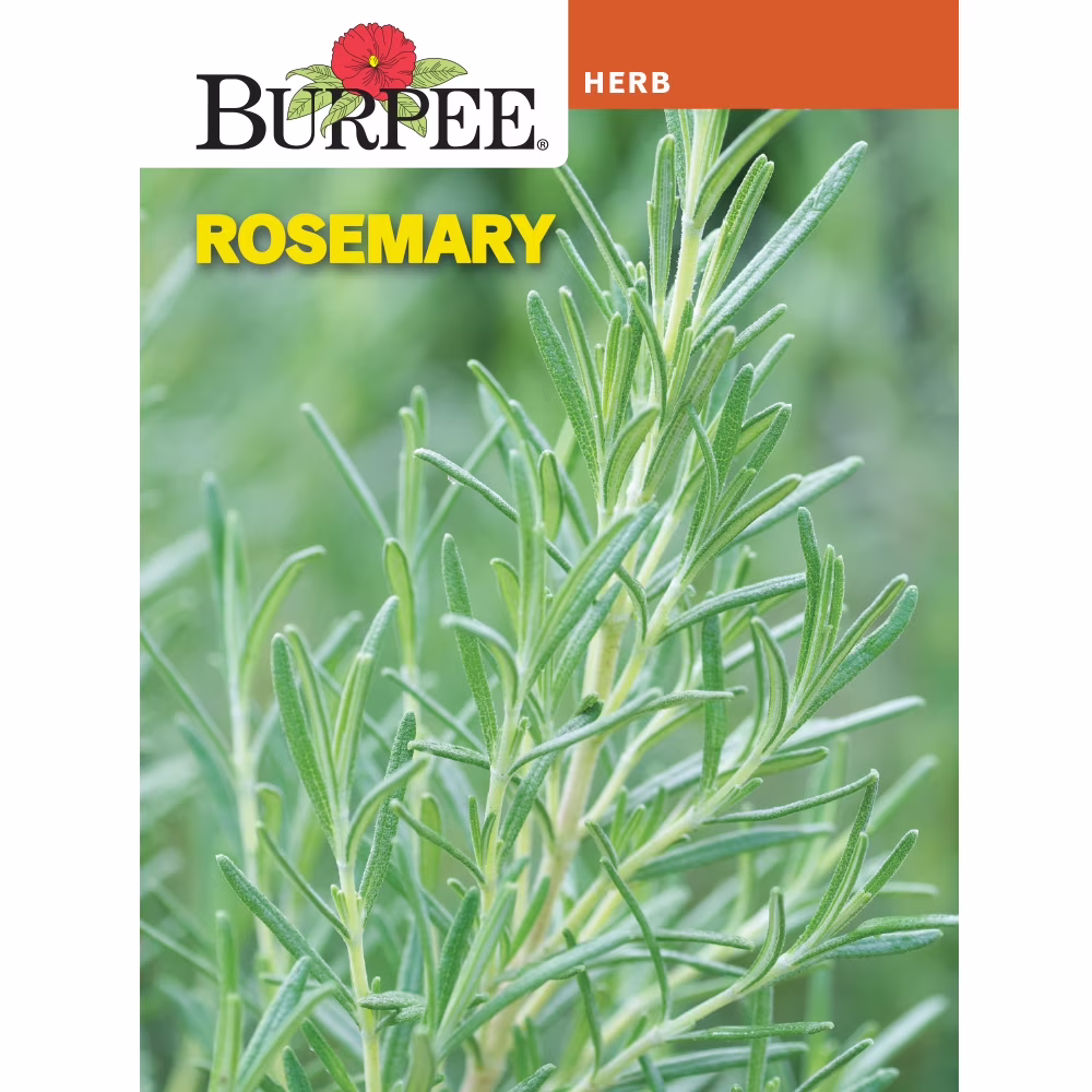 Burpee-Rosemary Seed Packet