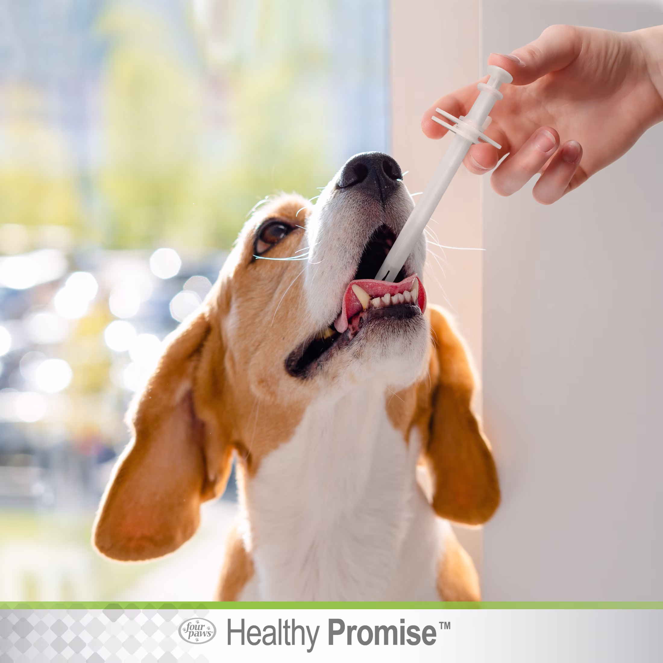 Four Paws Healthy Promise Pet Pill Dispenser (1 Count)