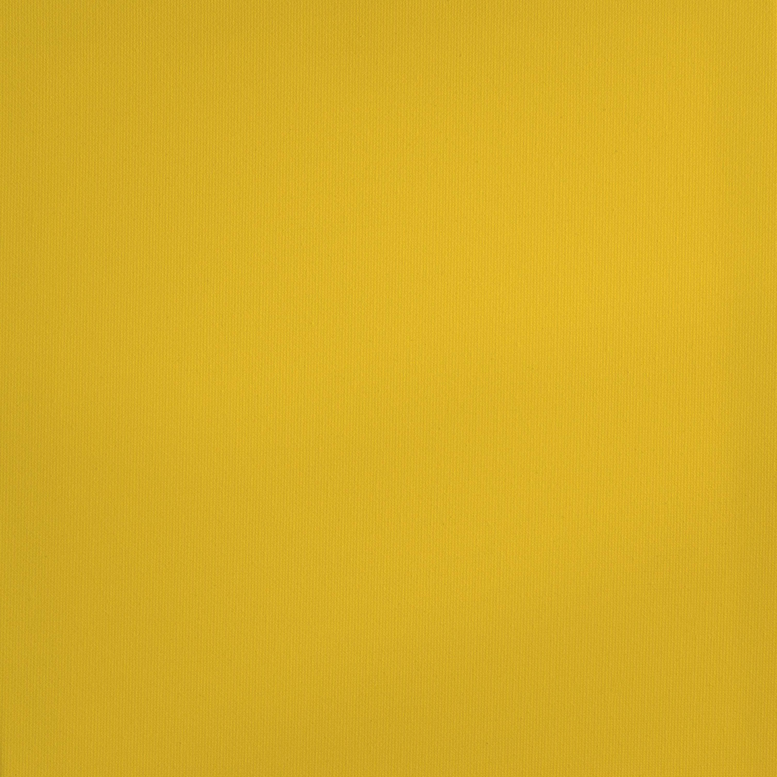 Royal & Langnickel Essentials 120ml Primary Yellow Acrylic Artist Paint
