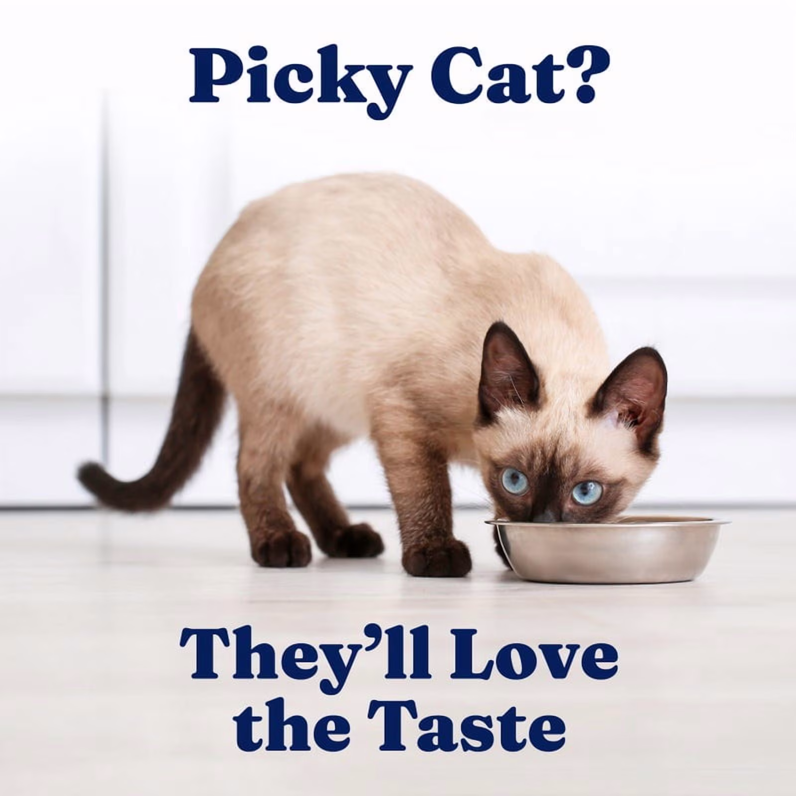Solid Gold Five Oceans Blended Tuna Gravy, Canned Wet Cat Food, Grain & Gluten Free Shreds with Gravy, 3oz Can