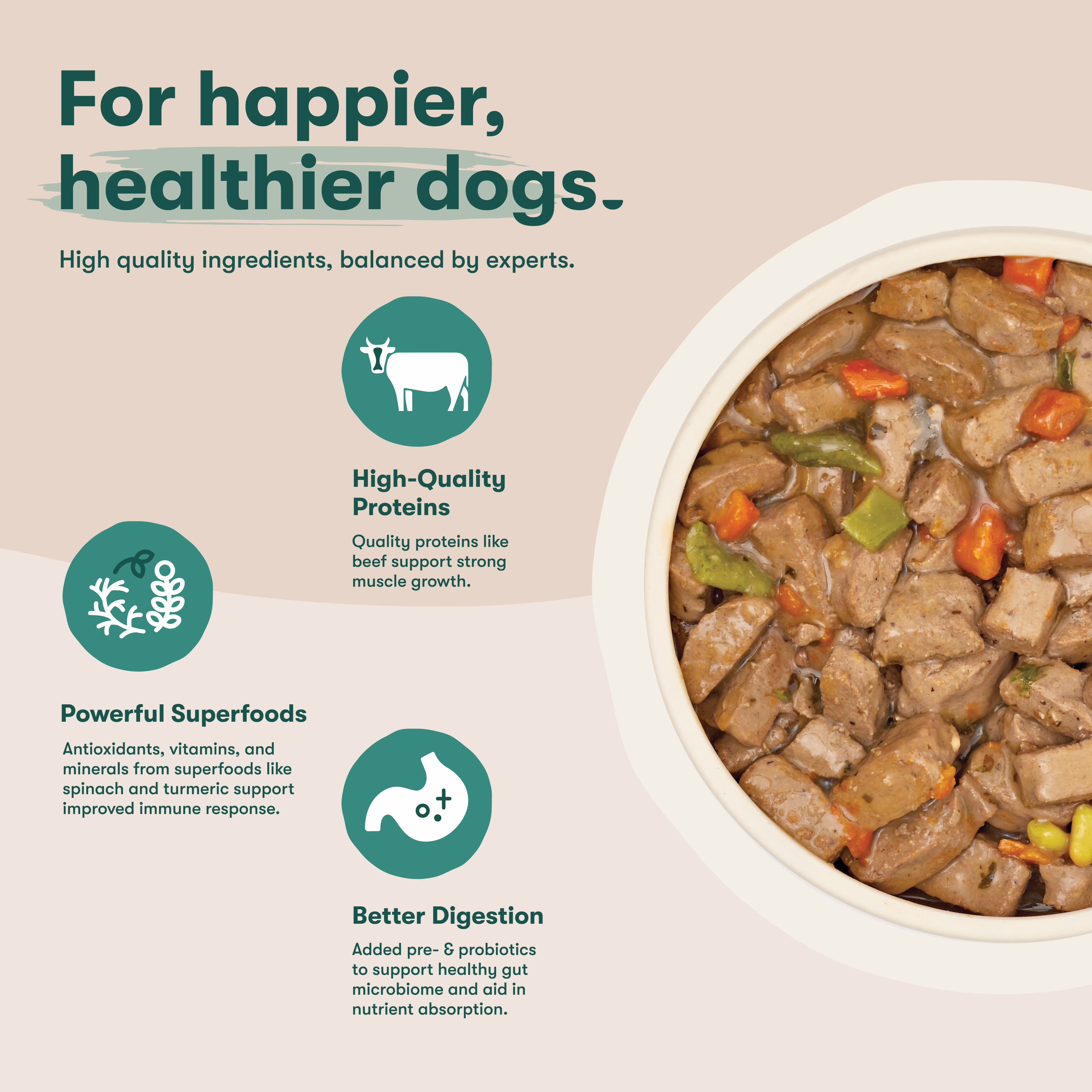 Jinx Bone Broth Stew Grain-Free Beef & Vegetables Wet Dog Food, 13 oz Can