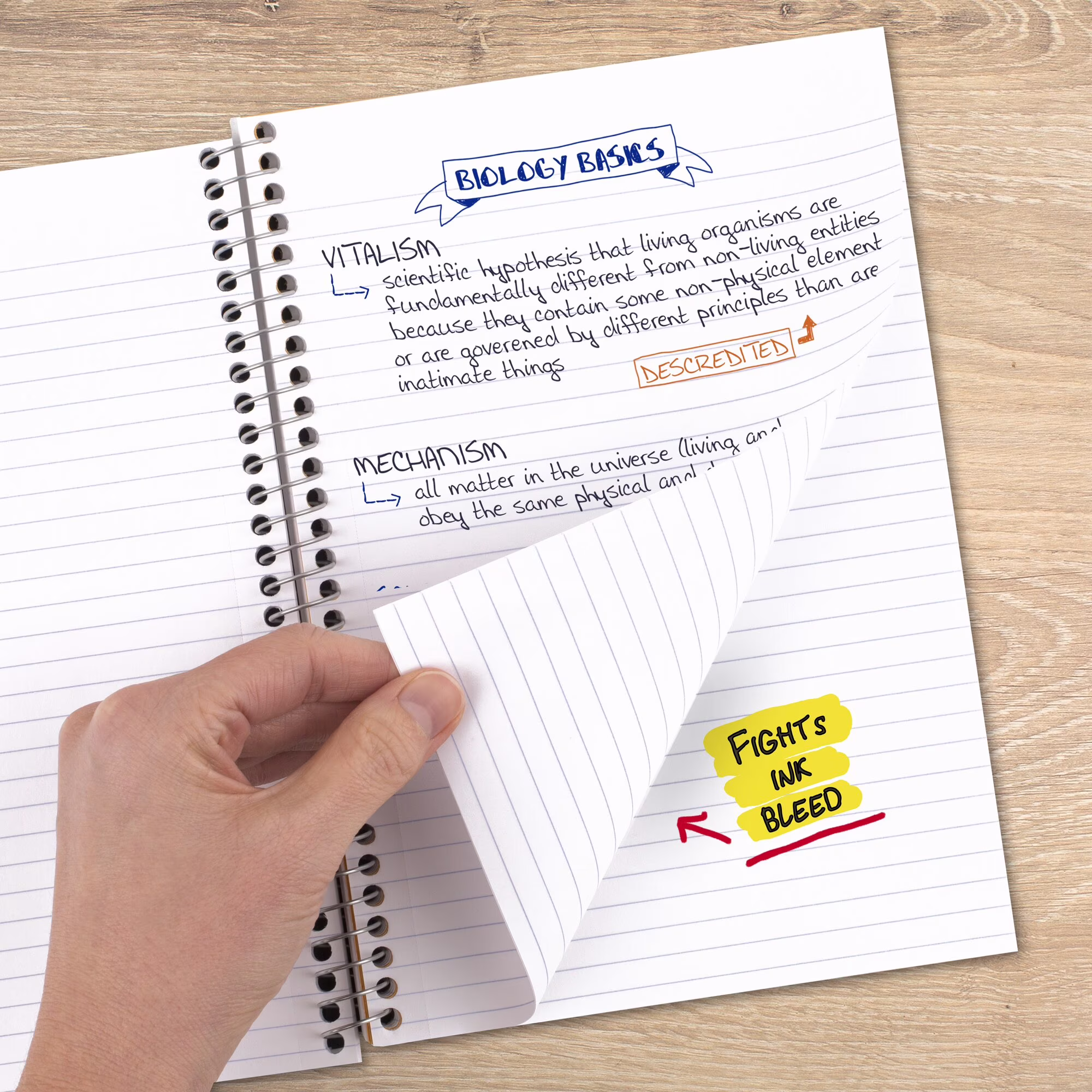 Five Star Spiral Notebook, 2 Subject, College Ruled, 6