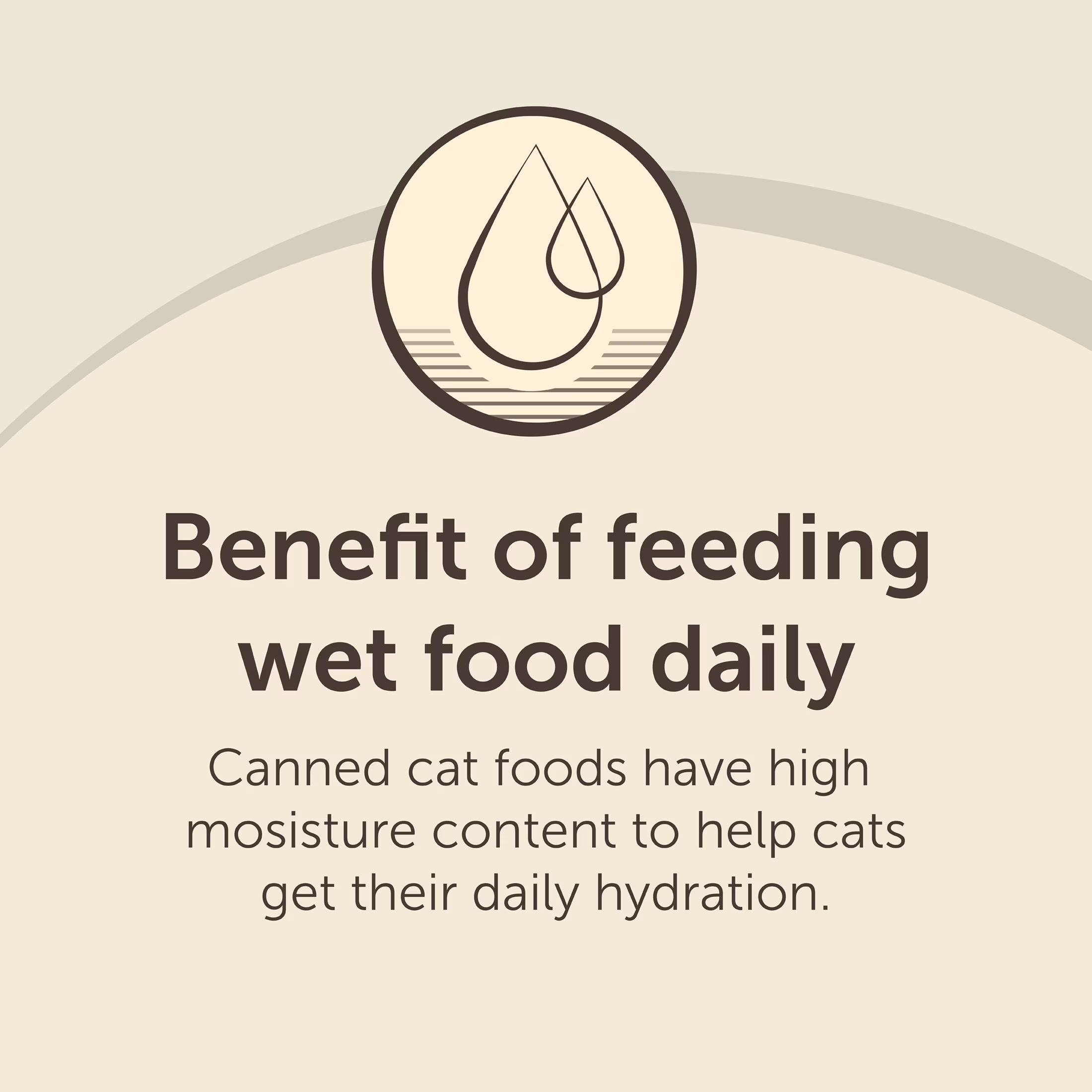 Special Kitty Ocean Whitefish and Tuna Wet Cat Food, 13 oz Can