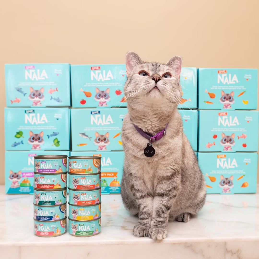(4 pack) Love, Nala Chicken Flaked with Sweet Potato & Carrot Recipe in Broth Adult Wet Cat Food