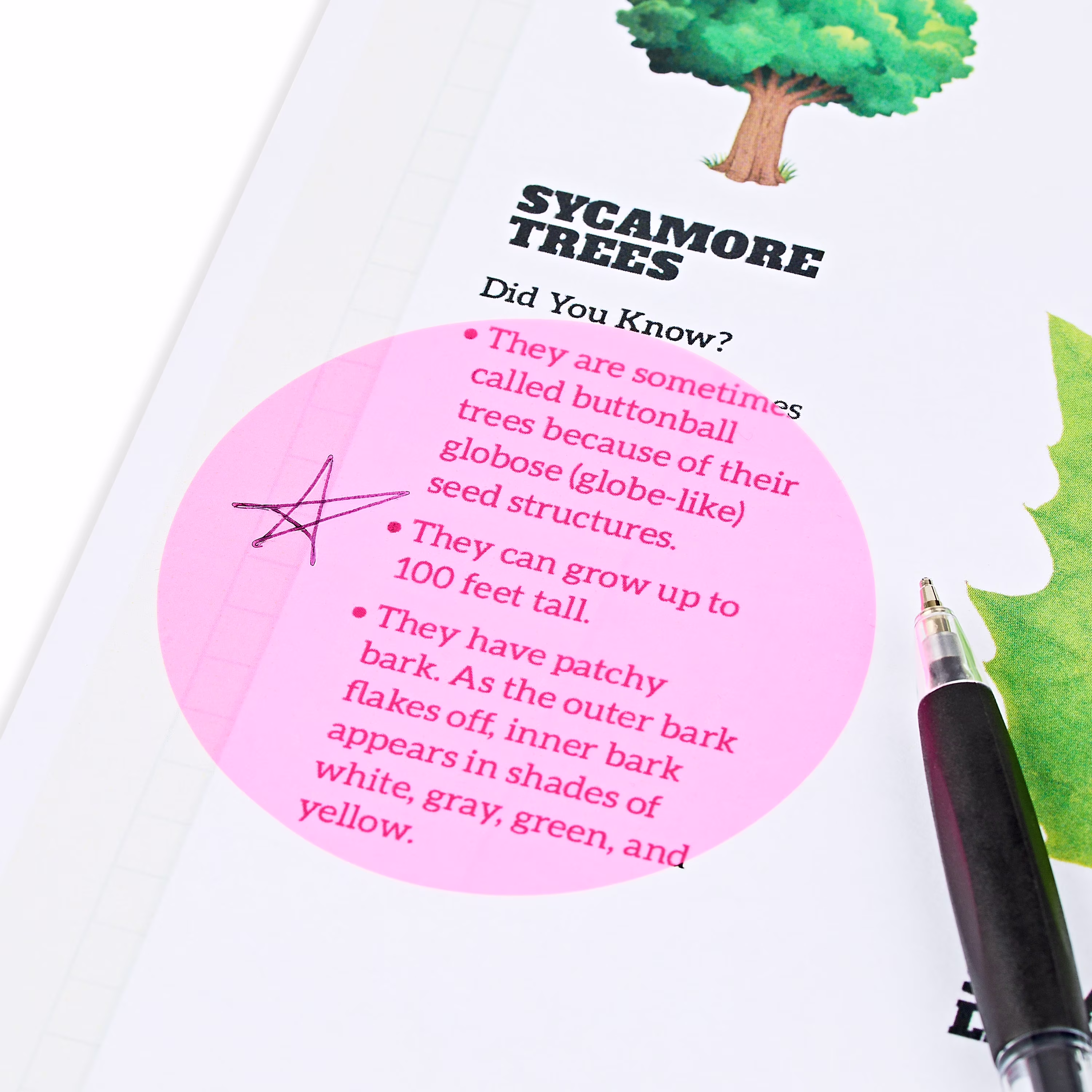Pen + Gear Transparent Circular Sticky Notes,50 Count,Size 70mm