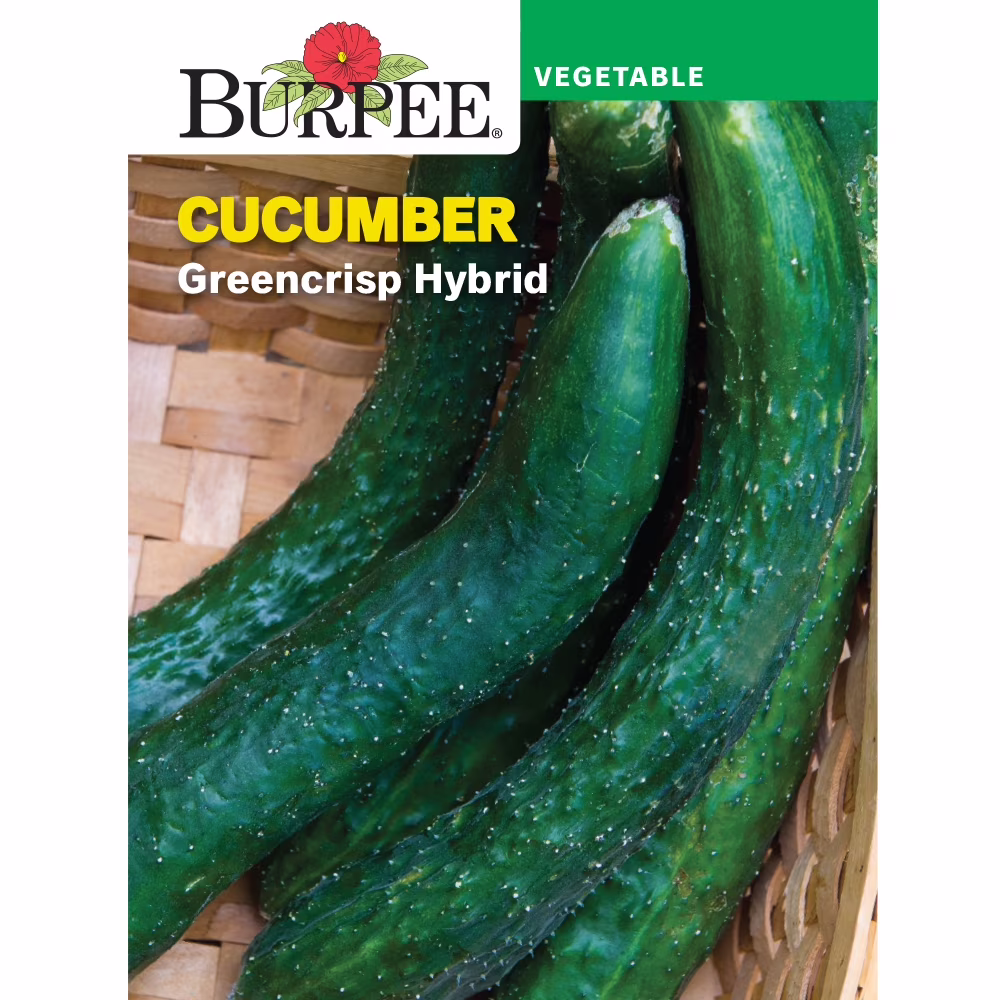 Burpee Greencrisp Hybrid Cucumber Vegetable Seed, 1-Pack