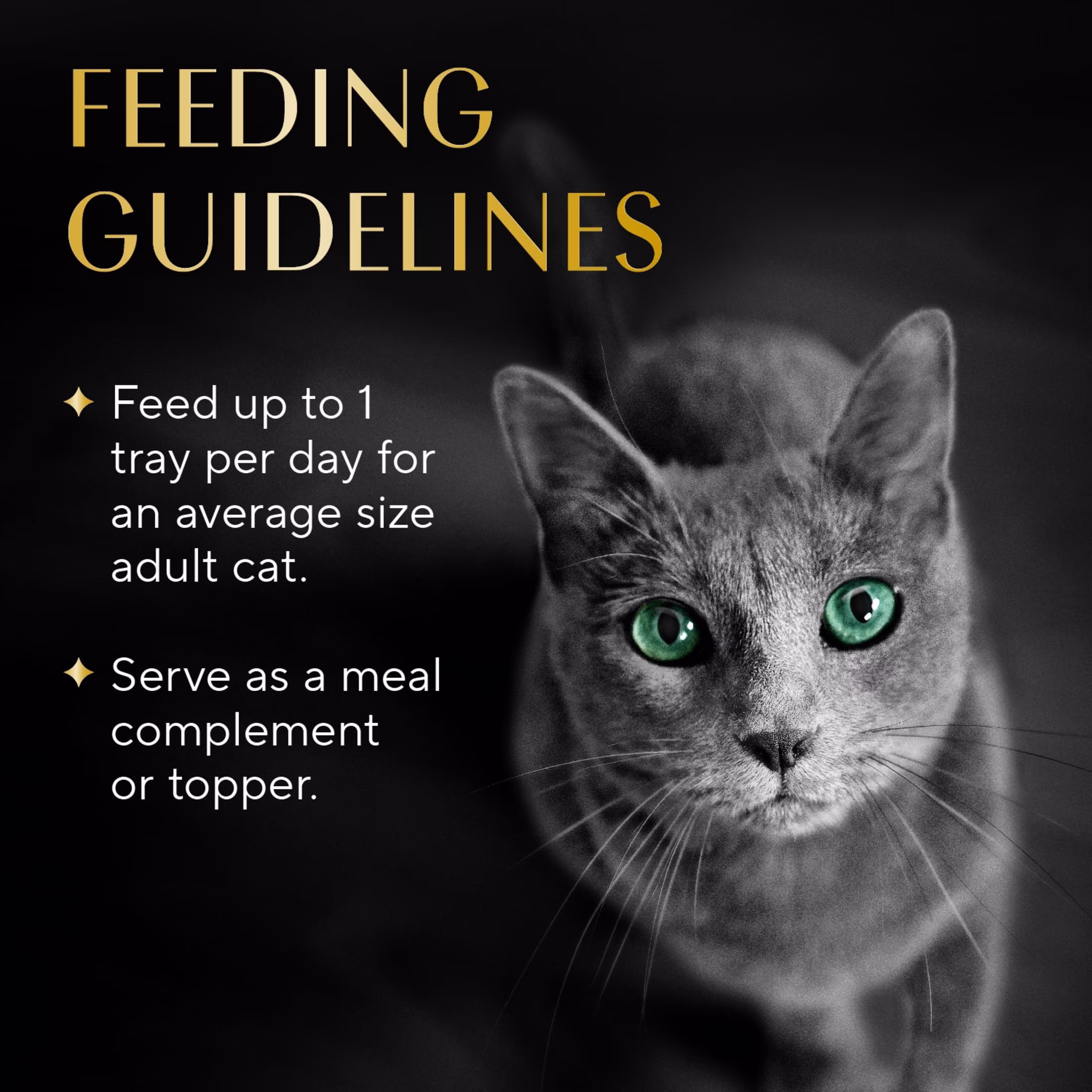 Sheba Selections Filets in Broth Adult Wet Cat Meal Complement Chicken & Shrimp Recipe, 1.3 oz. Cups, 1 Count