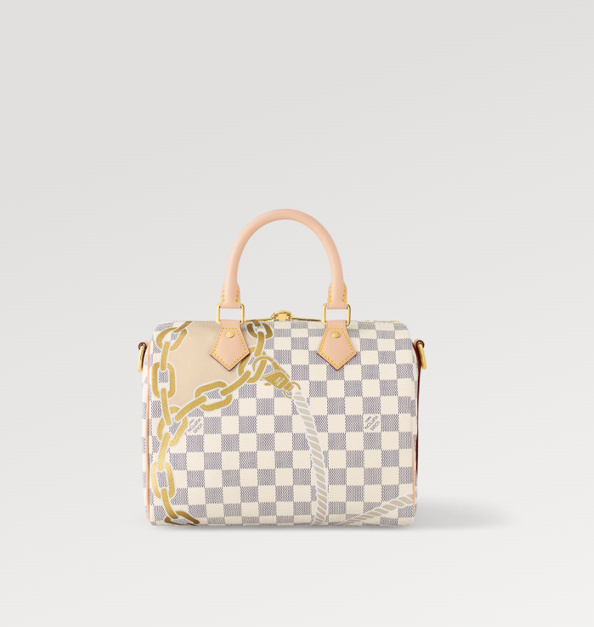 Louis Vuitton N40473 Speedy Bandoulière 25