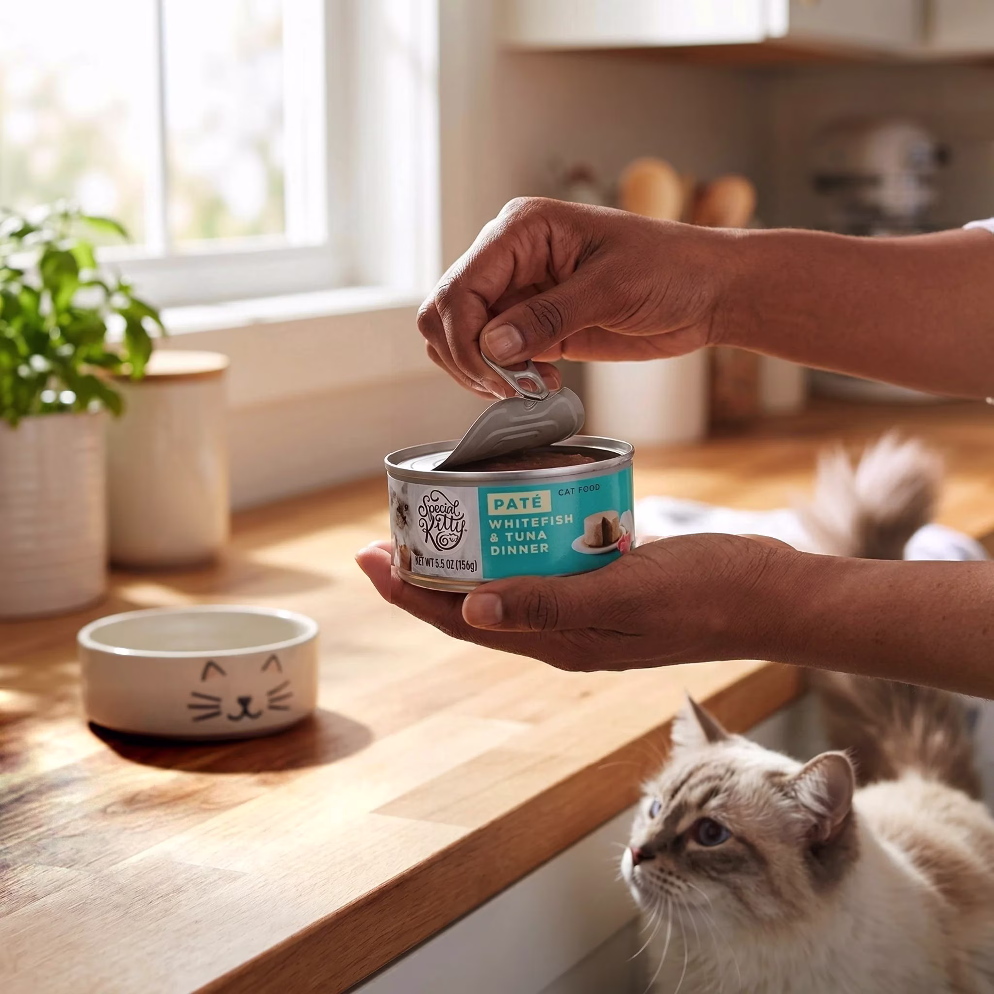 Special Kitty Whitefish & Tuna Dinner Pate Wet Cat Food, 5.5 oz Can
