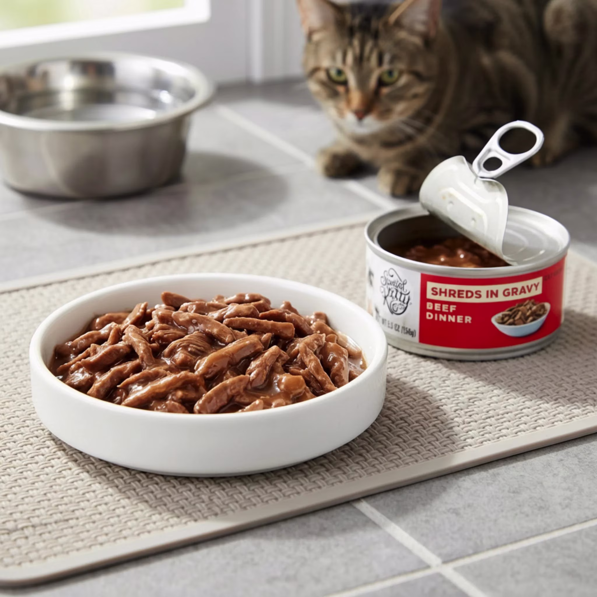 Special Kitty Beef Dinner Shreds in Gravy Wet Cat Food, 5.5 oz Can