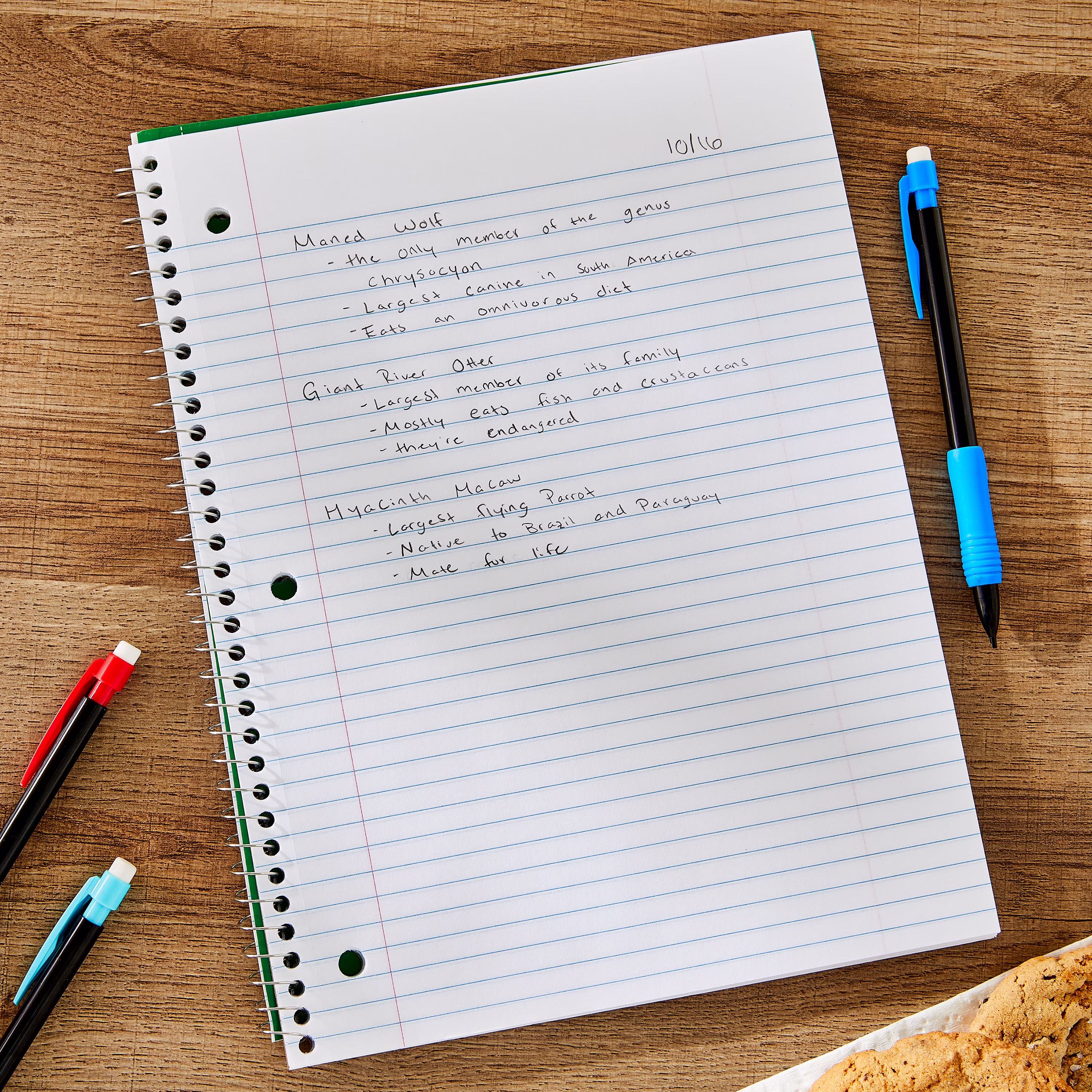 Pen+Gear College Ruled 1-Subject Notebook, 8 in x 10.5 in, Green, 70 Sheets