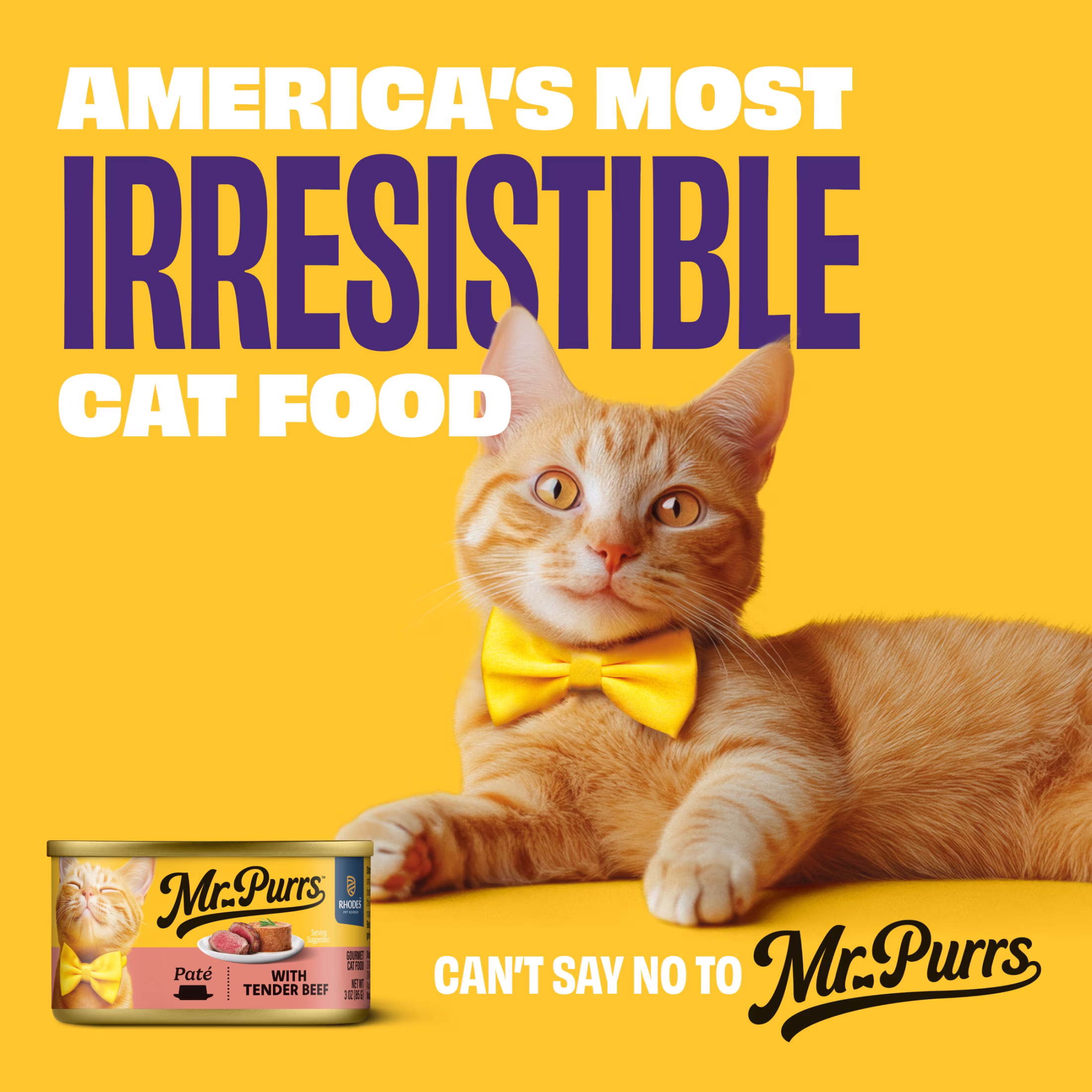 Mr Purrs Tender Beef Pate Wet Cat Food, 3 oz Can