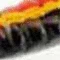 Johnson Original Beetle Spin Fishing Lure, Yellow/Black Spots, 1.1 in